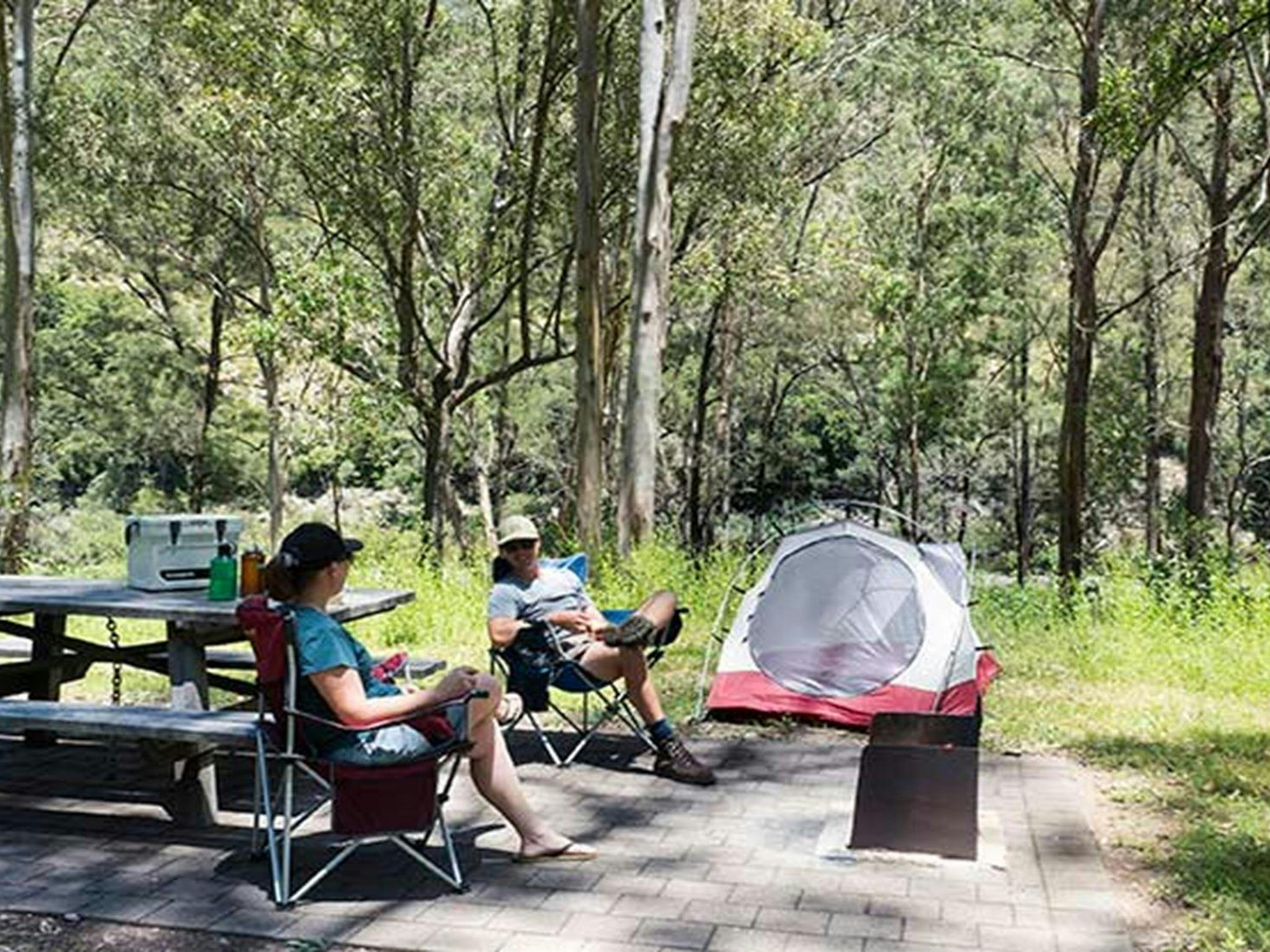 Halls Peak 캠프장 및 피크닉 장소