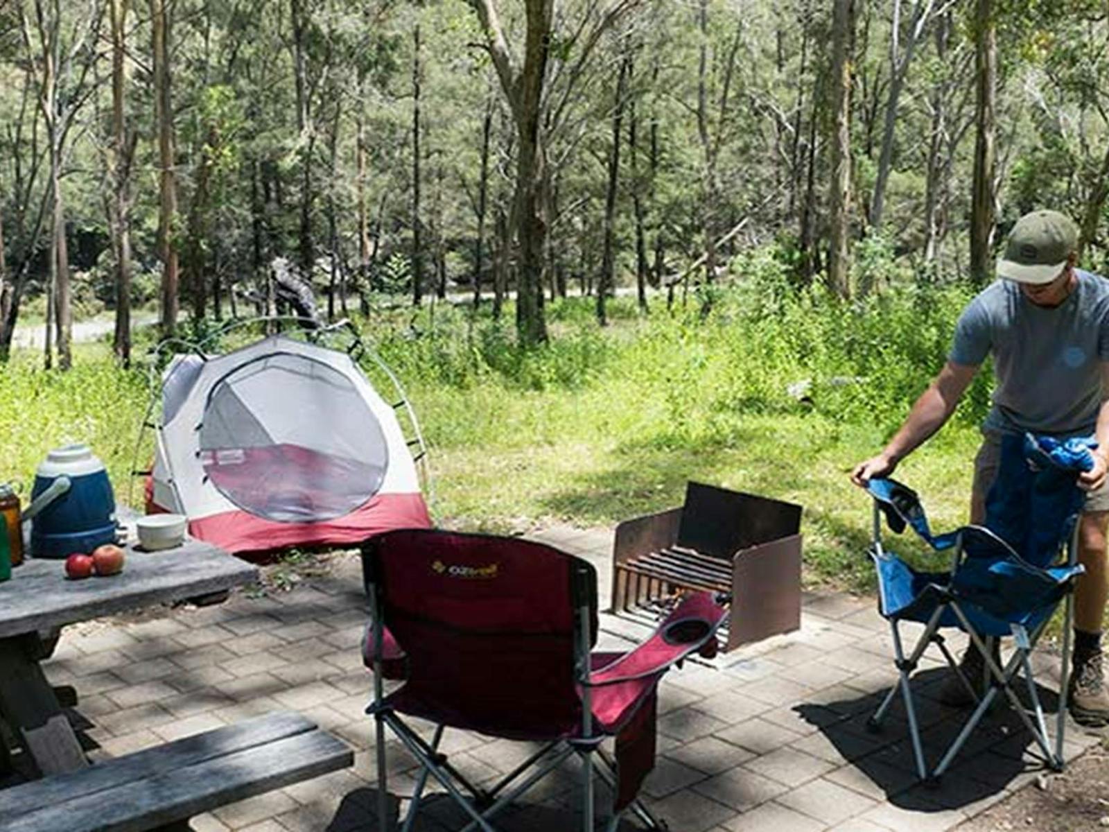 Halls Peak campground in Oxley Wild Rivers National Park. Photo: Leah Pippos © DPIE