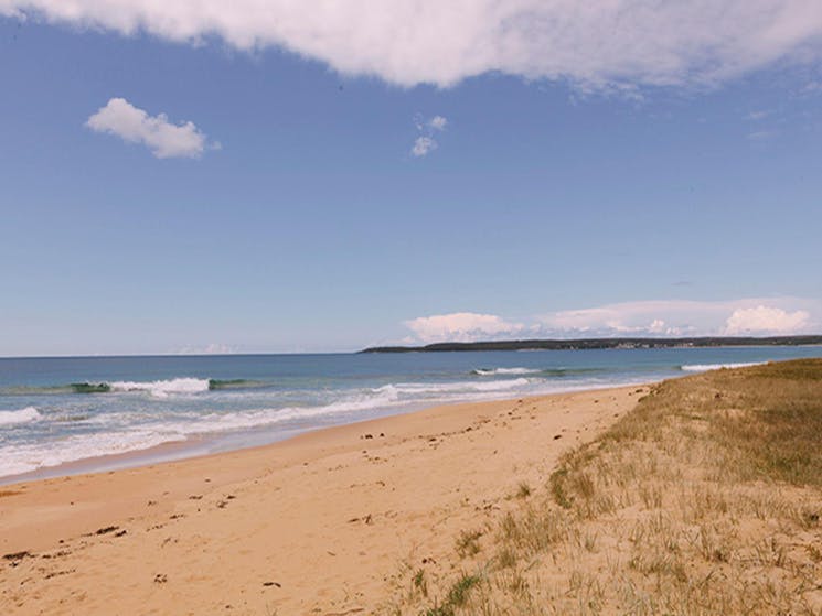 Warrain Beach near Hammerhead Point picnic area, Jervis Bay National Park. Photo: David Finnegan