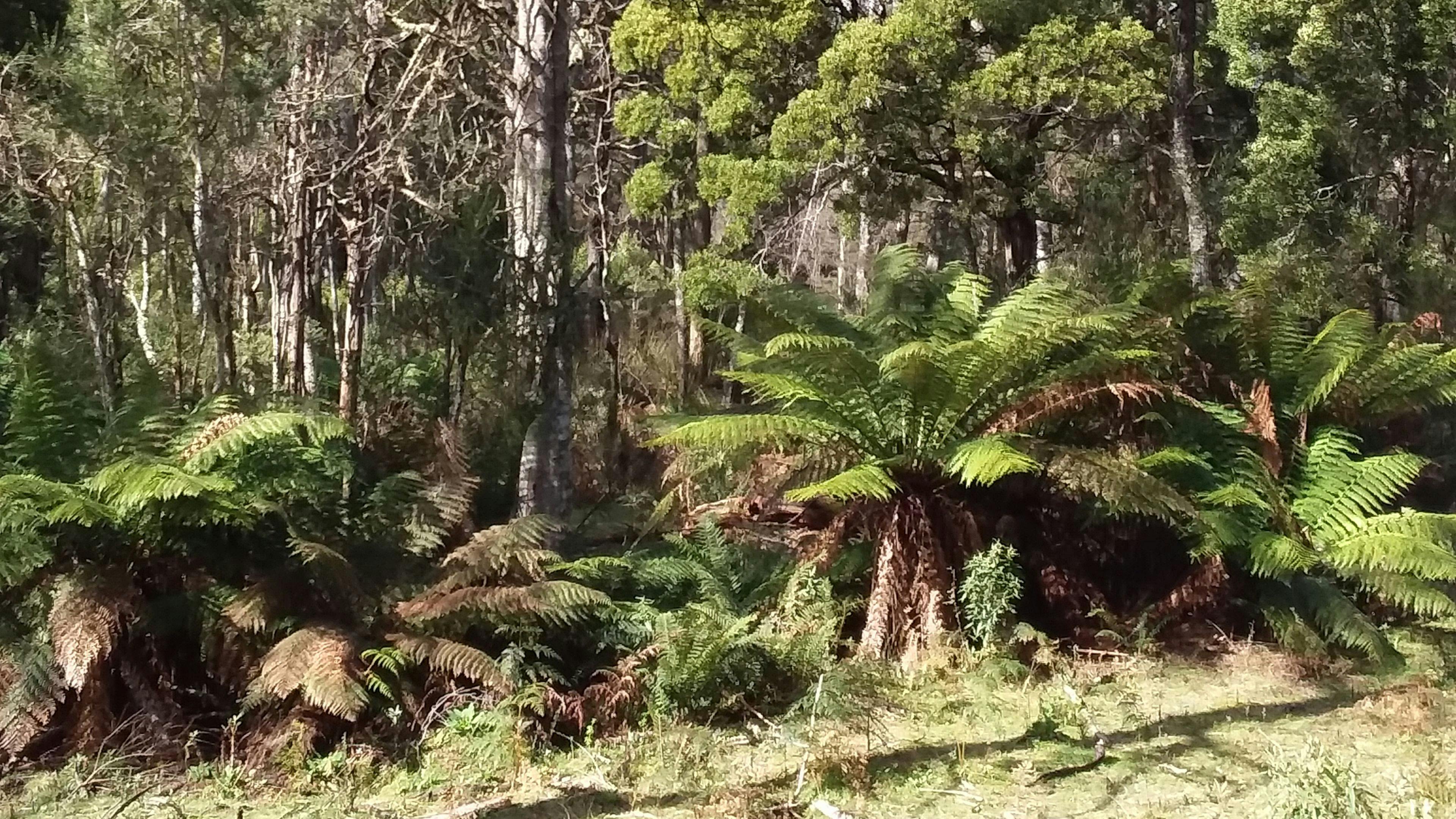 Happy Healthy Valleys