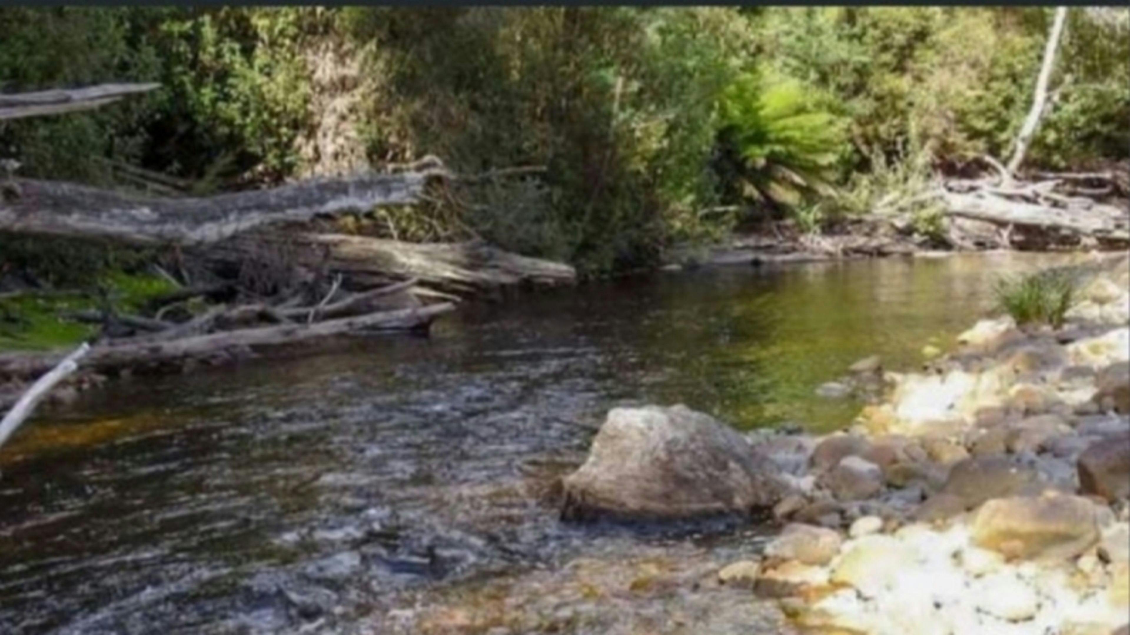 Happy Healthy Valleys