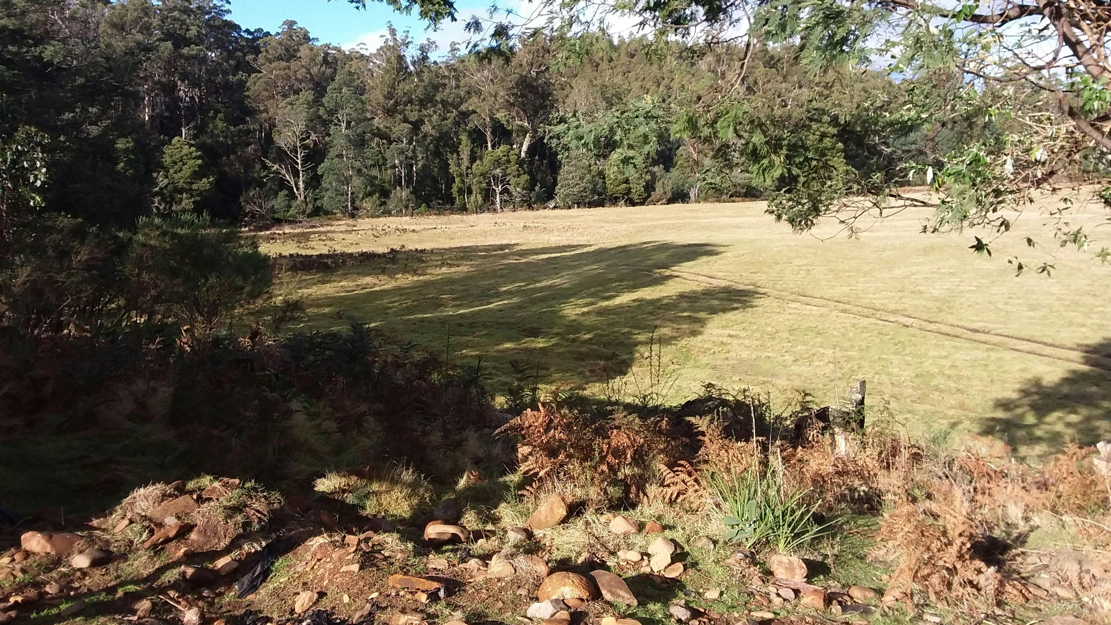 Happy Healthy Valleys