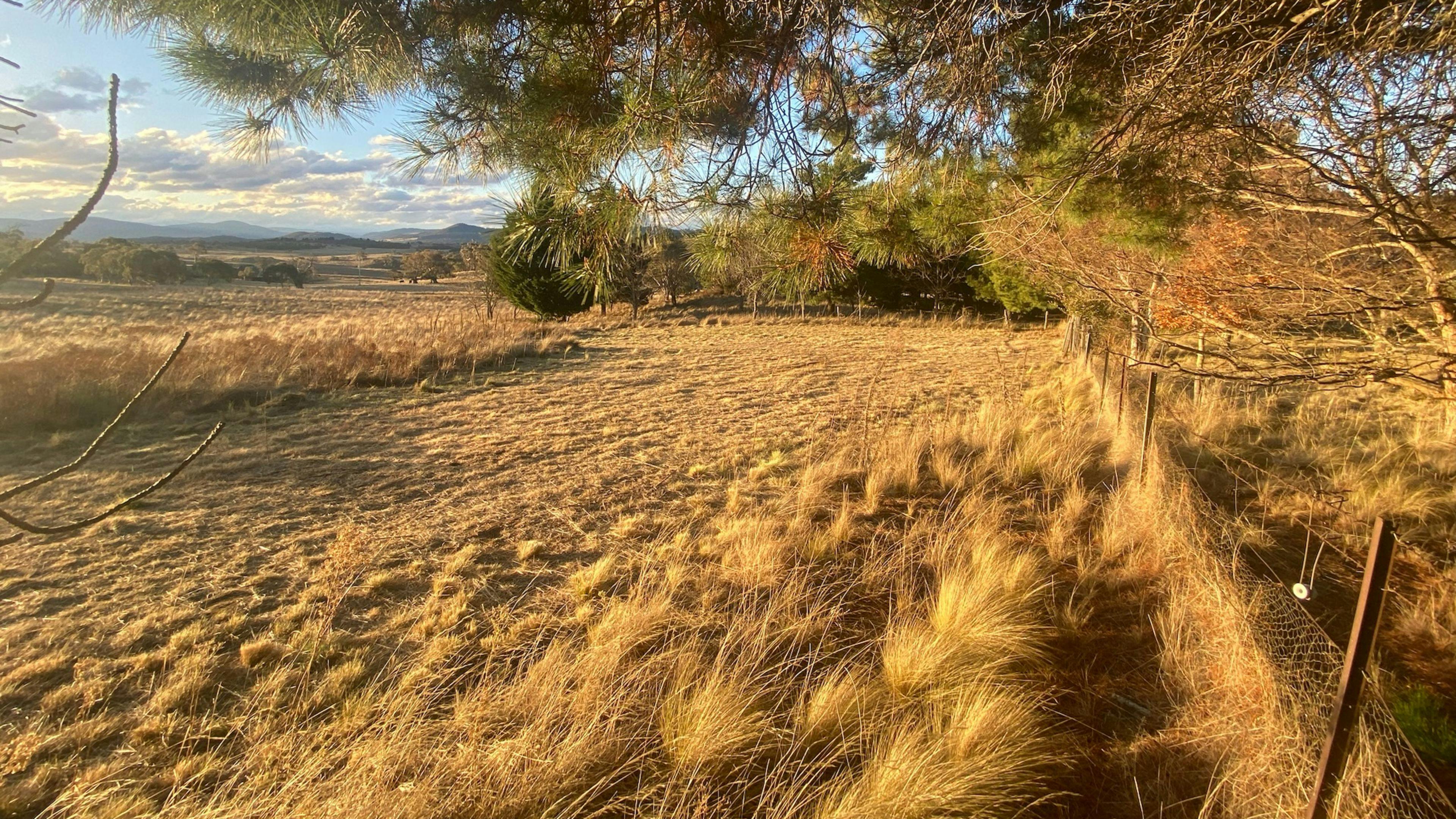 Harros Hill, Jindabyne