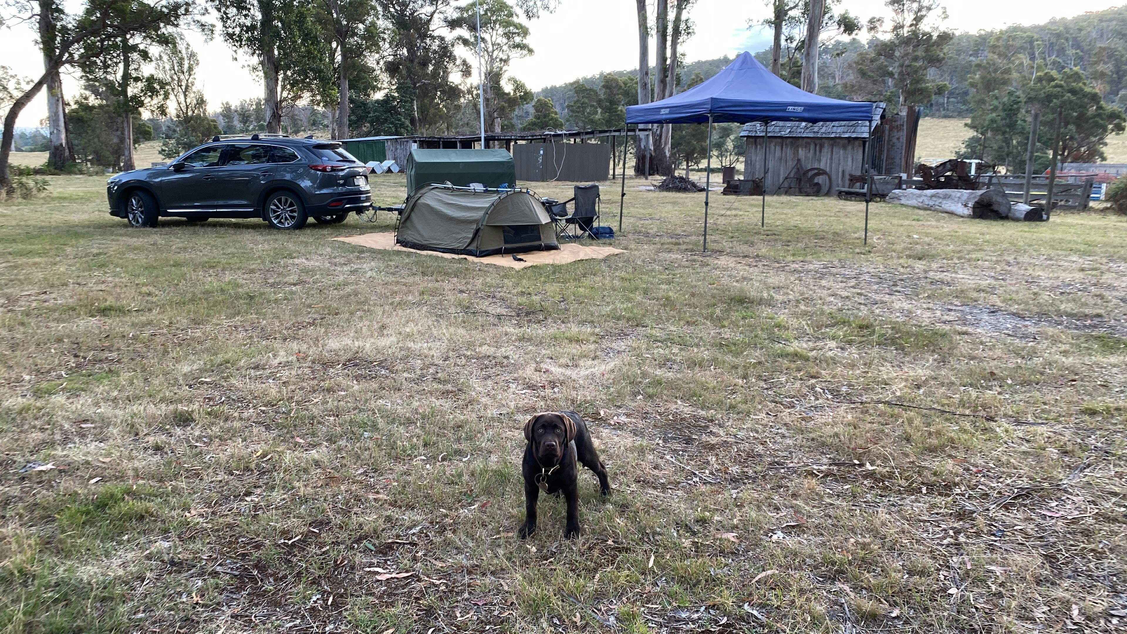 Harveydale Campsite