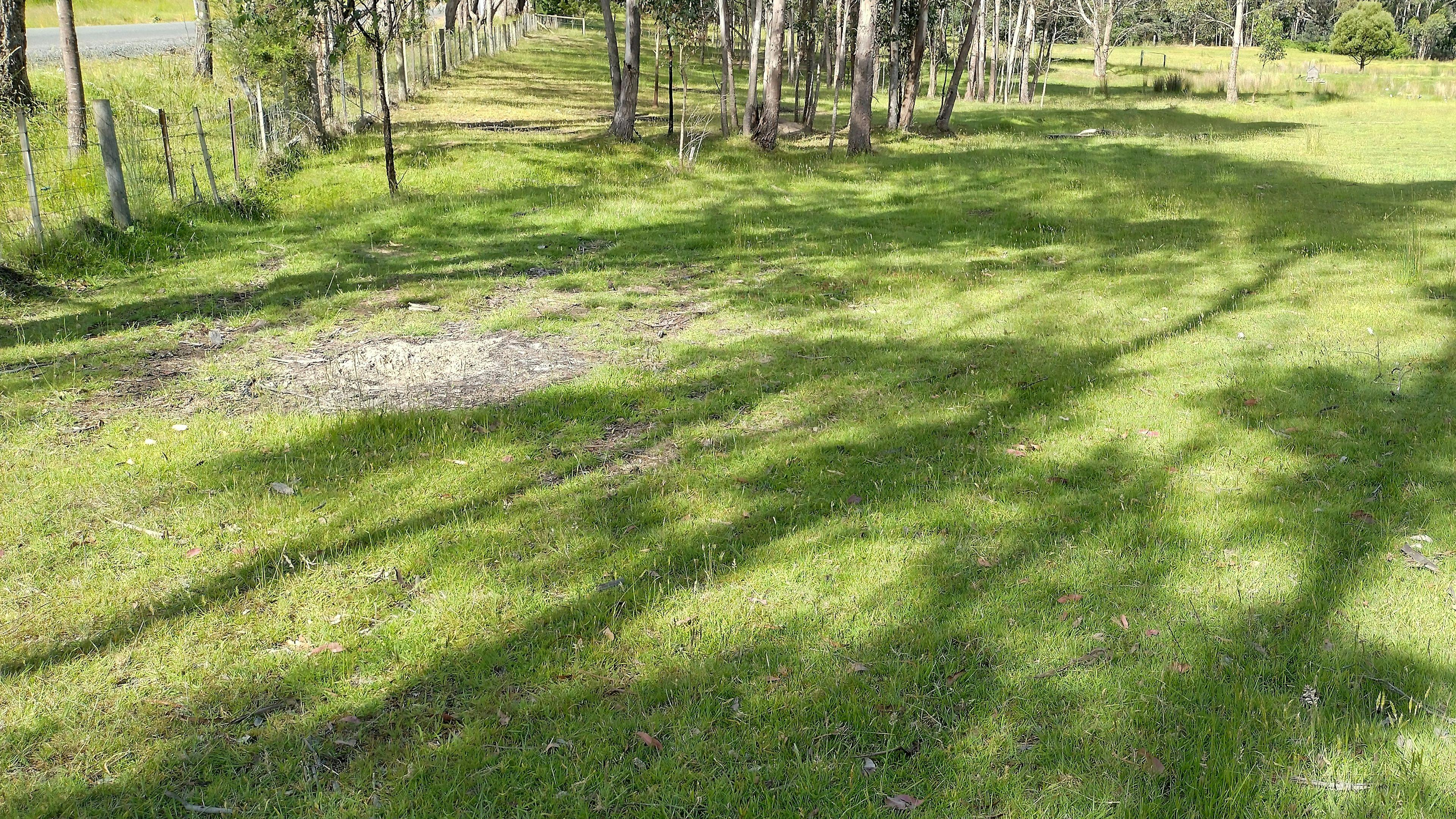 Looking towards the tent camping area.