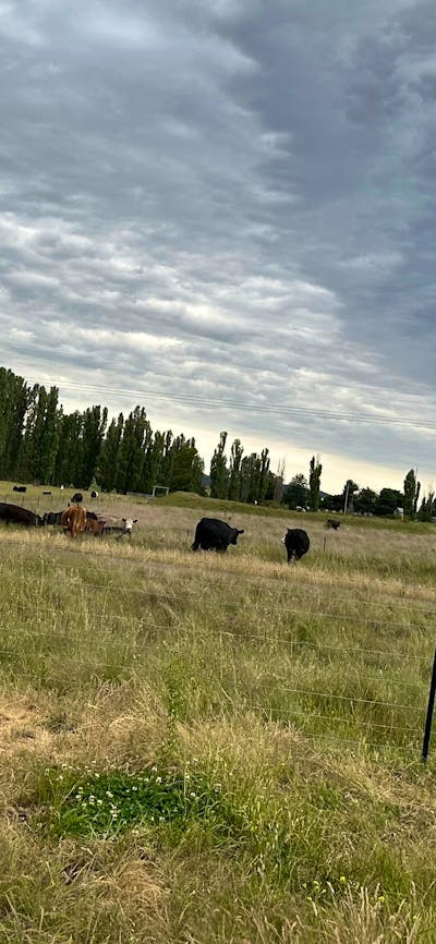 Hasnain Farm