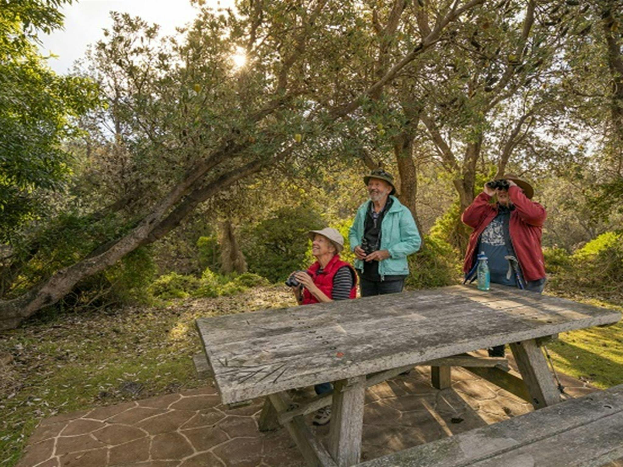 Some friends birdwatching at Haycock Point picnic area, Beowa National Park. Photo: John Spencer/OEH