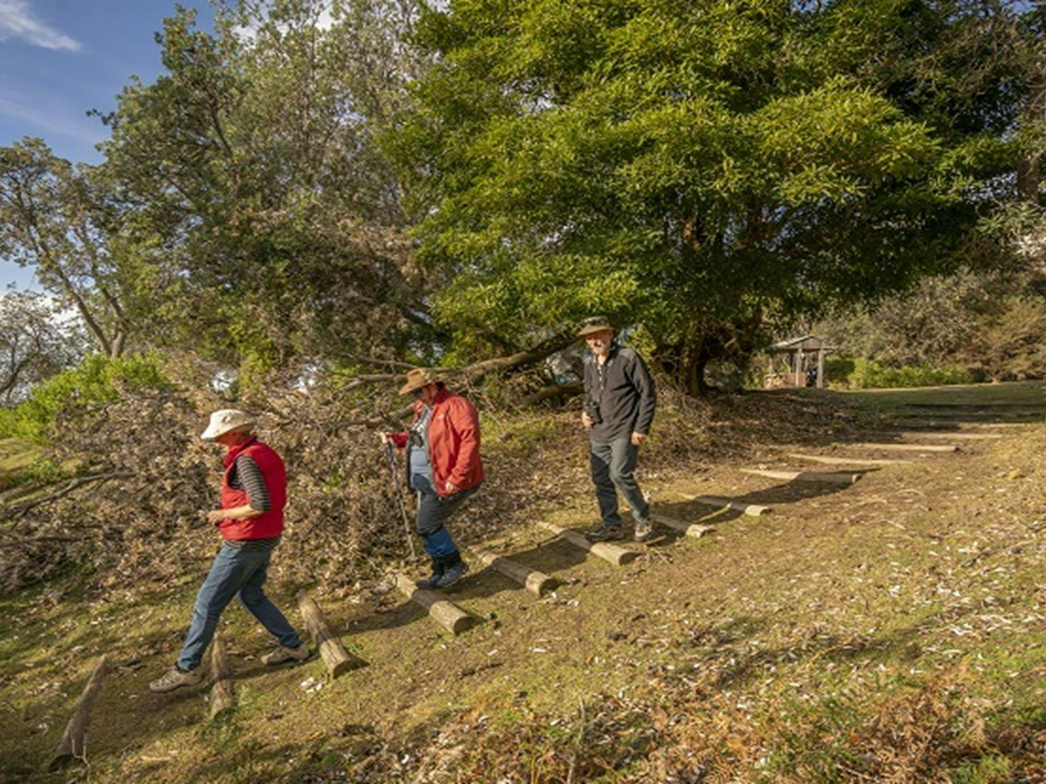 People heading off on a walk from Haycock Point picnic area, Beowa National Park. Photo: John