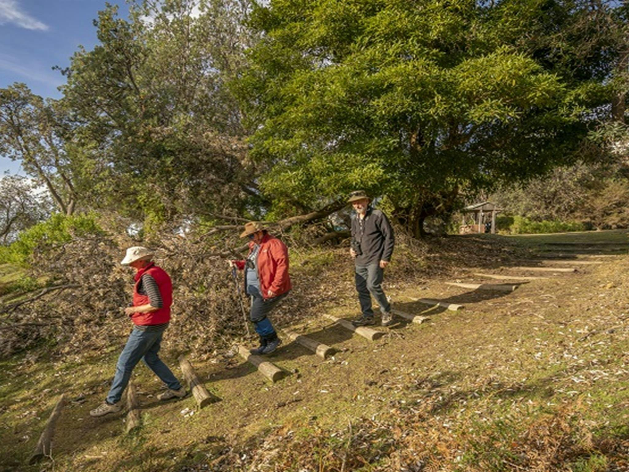 People heading off on a walk from Haycock Point picnic area, Beowa National Park. Photo: John