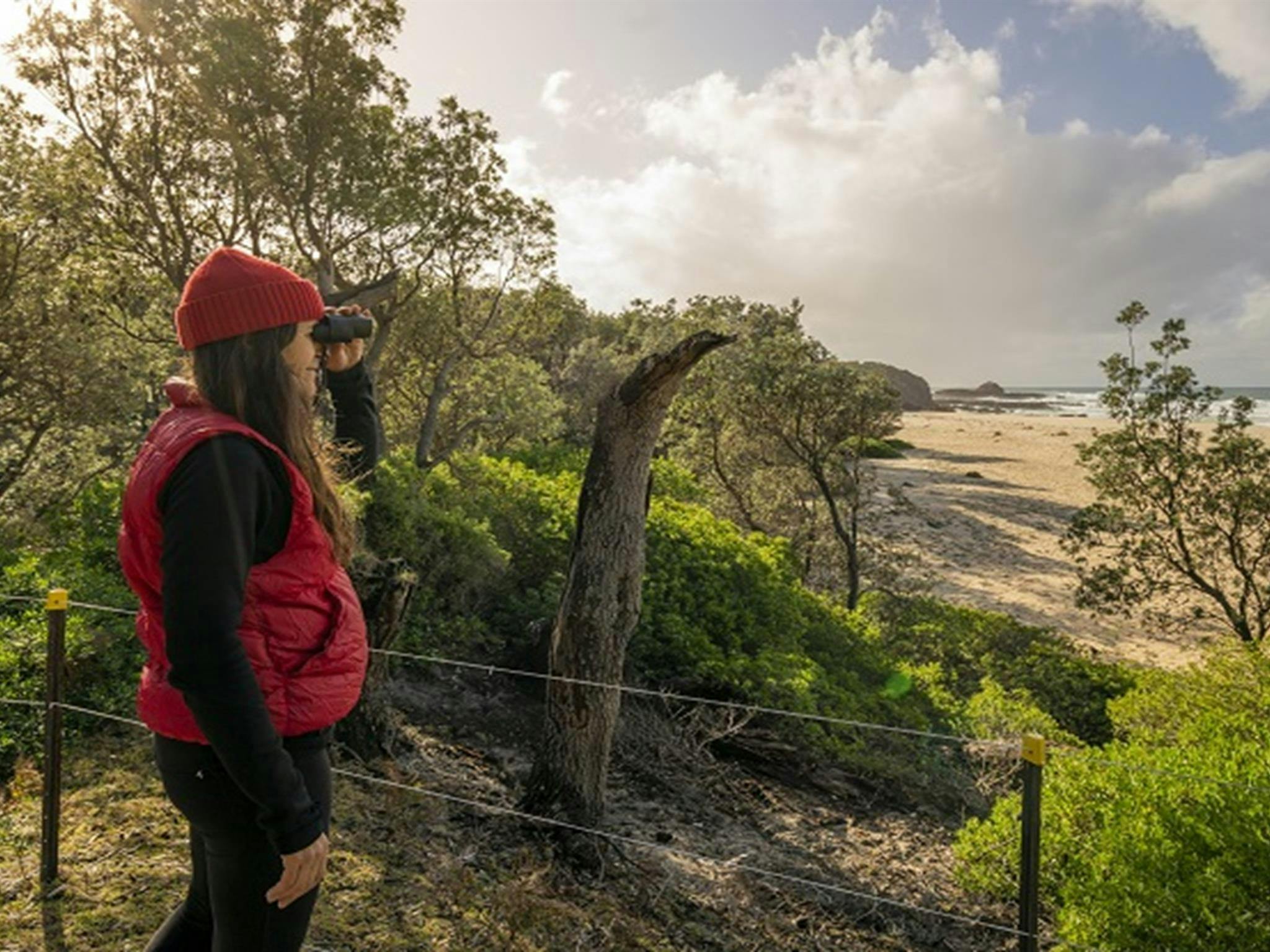A woman watches for whales, Haycock Point picnic area, Beowa National Park. Photo: John Spencer/OEH