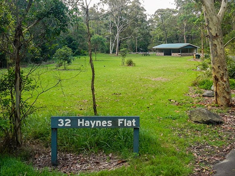 Haynes Flat picnic area, Lane Cove National Park. Photo: Debbie McGerty