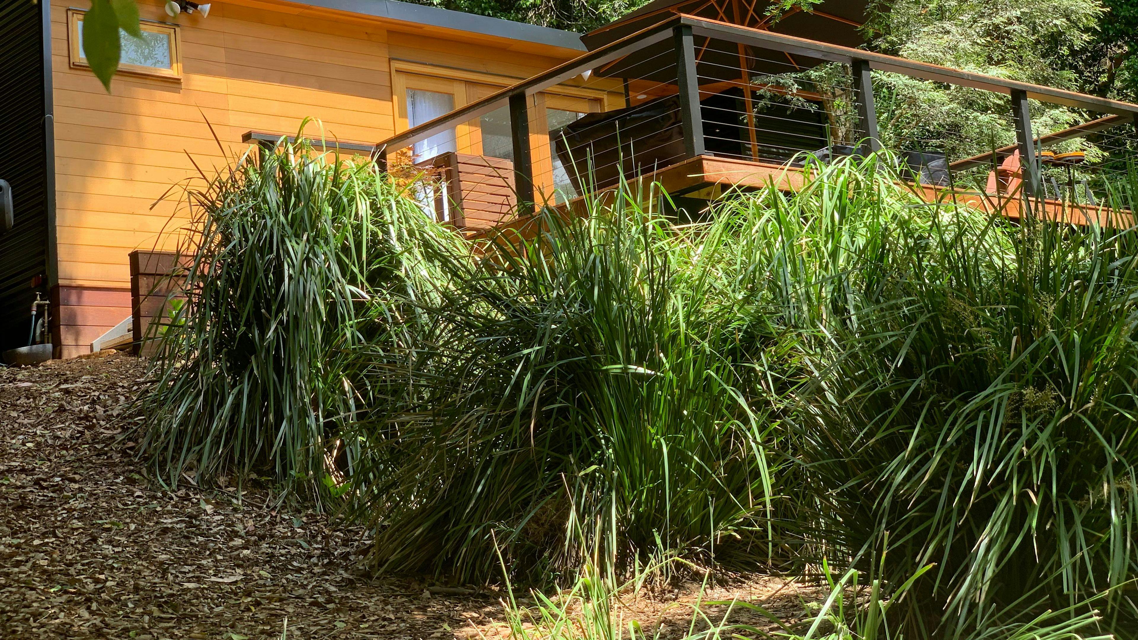 오트포드 파크에서의 작은 숙박