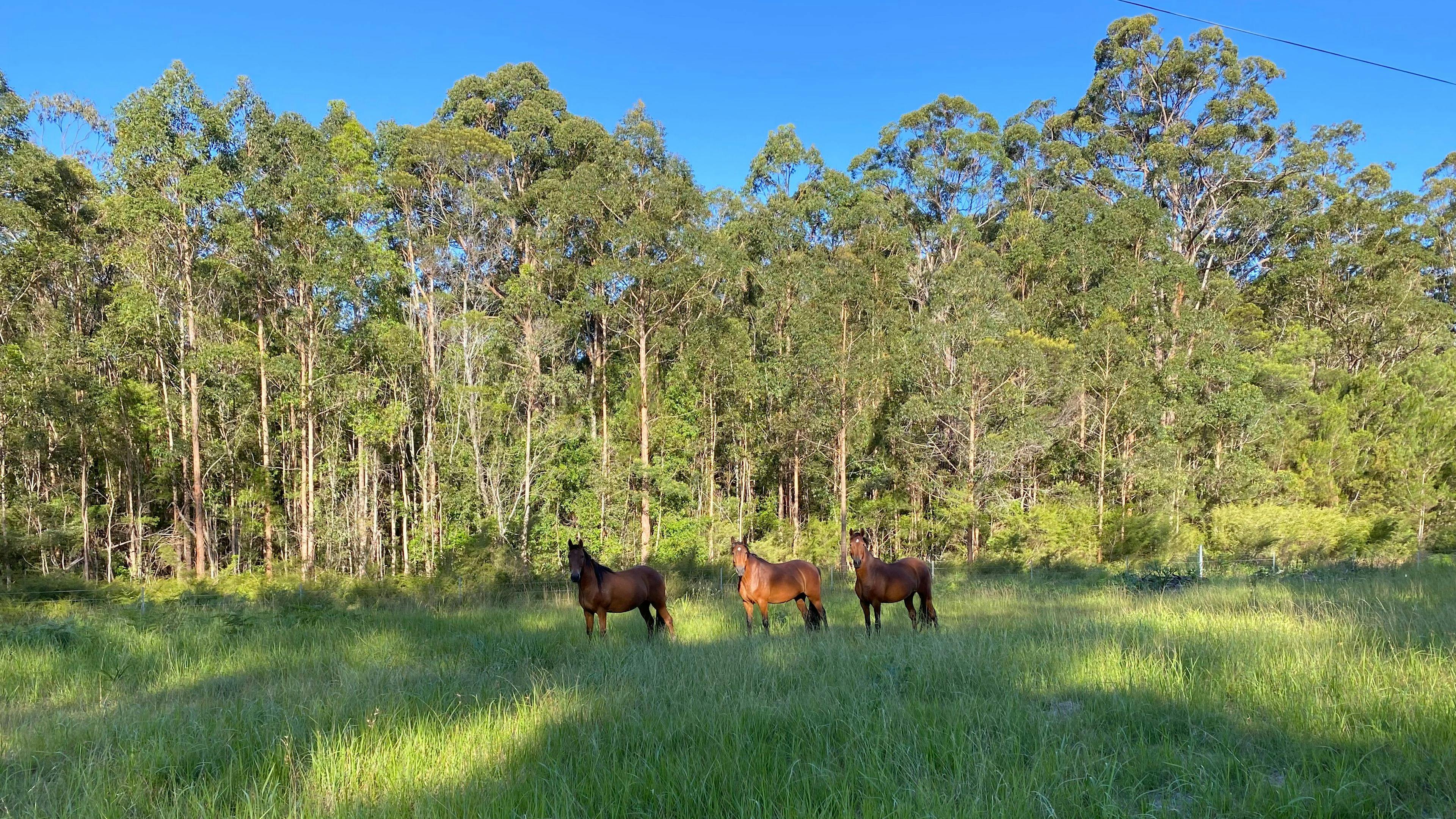하트우드 - 평온함