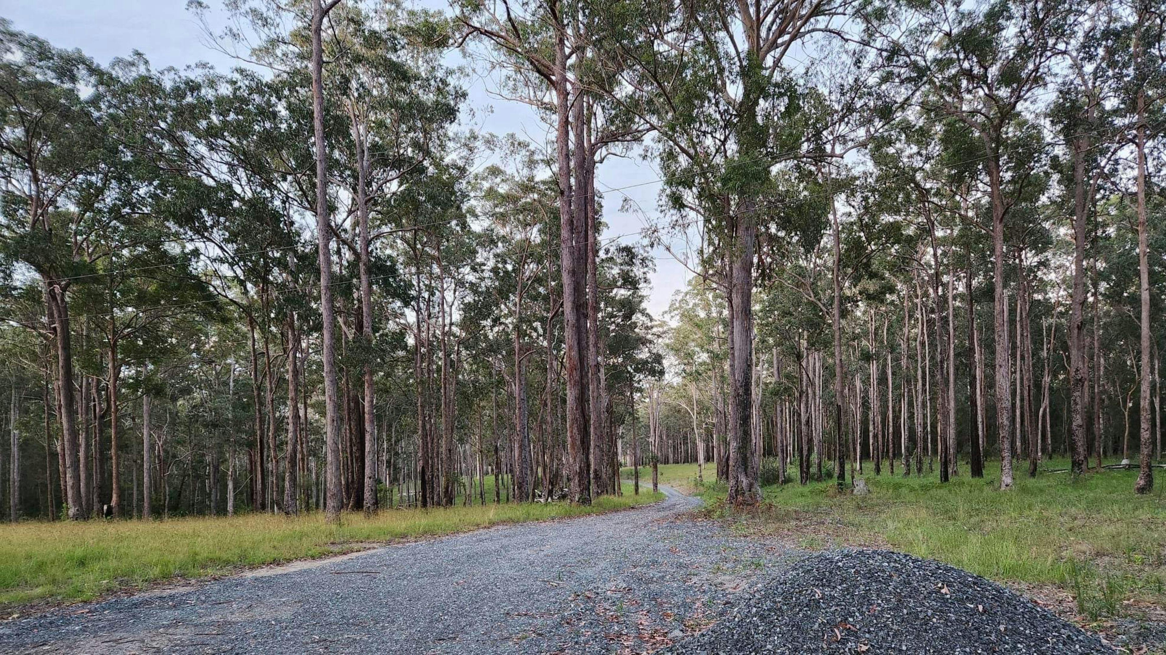 하트우드 - 평온함