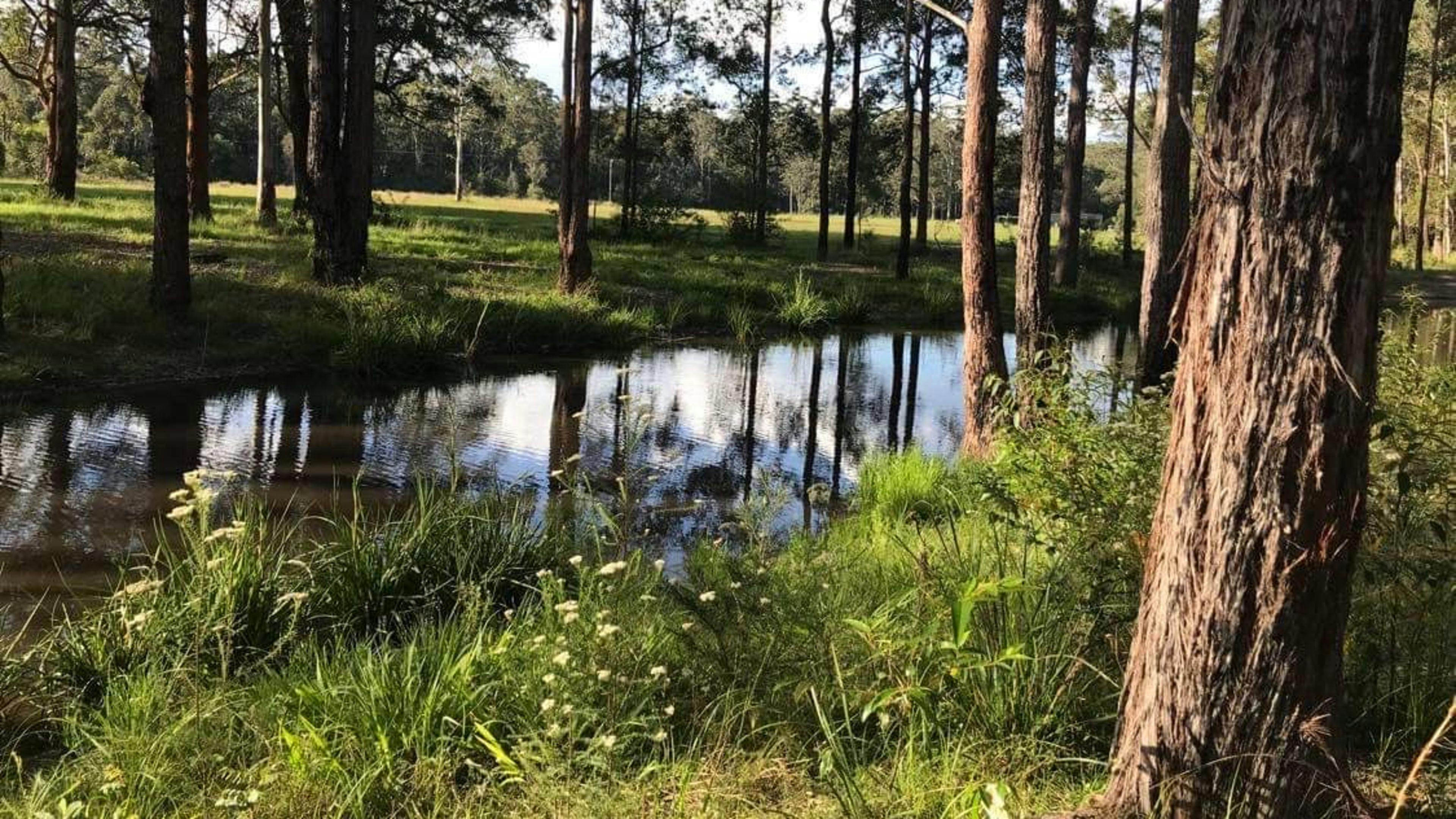 하트우드 - 평온함