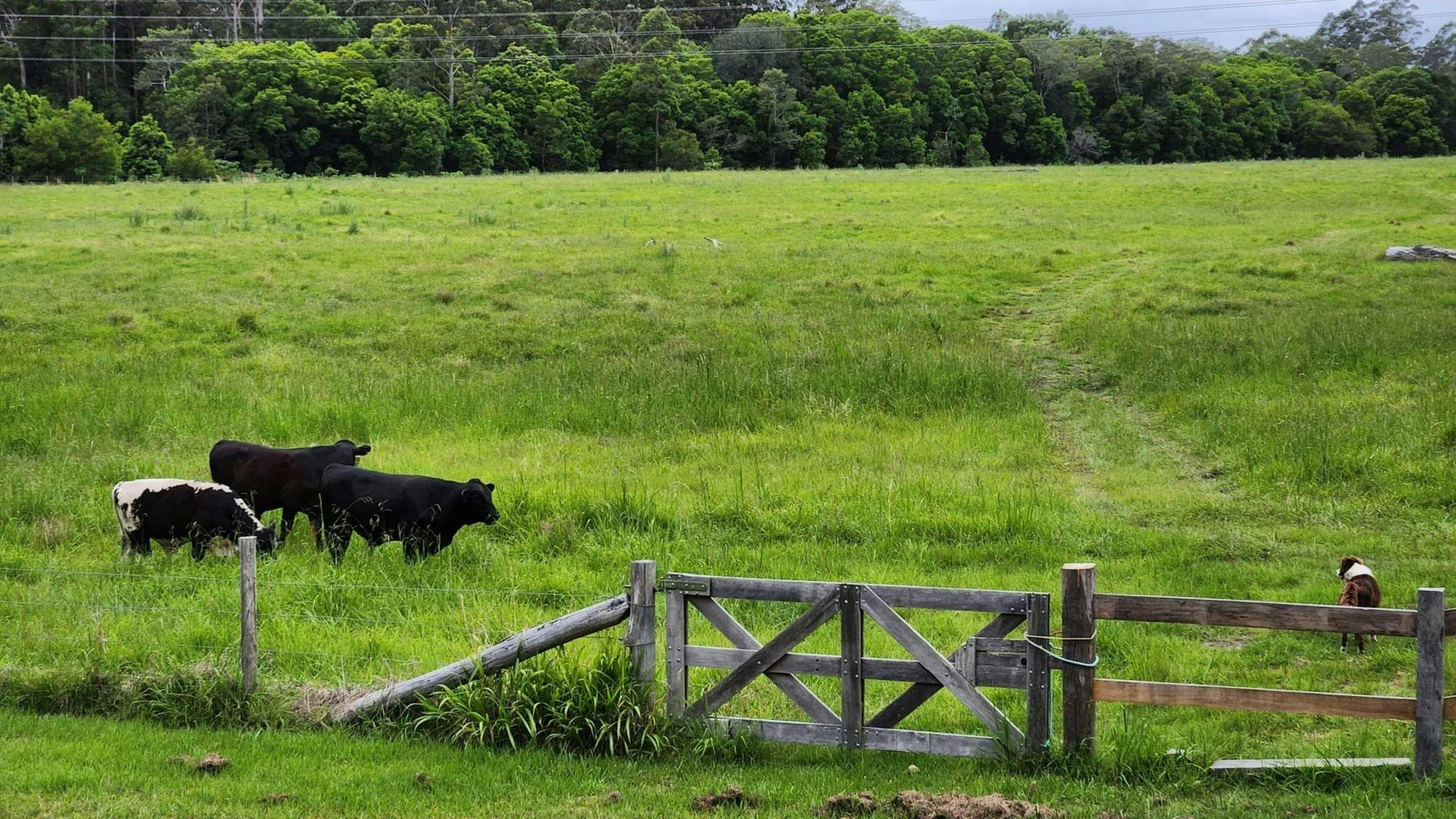 하트우드 - 평온함