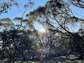 From within the campsites