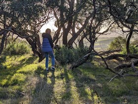 Heggies Hill Bush Camp