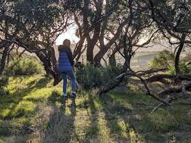 Heggies Hill Bush Camp