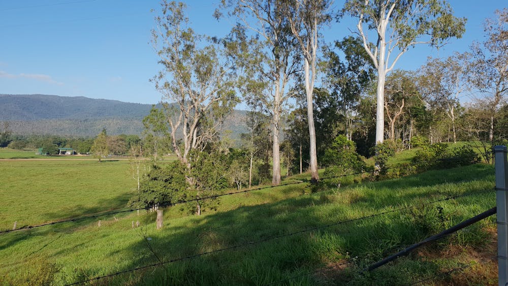 Herbert River Valley