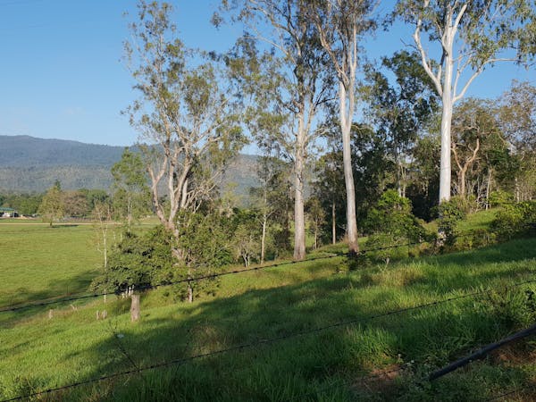 Herbert River Valley