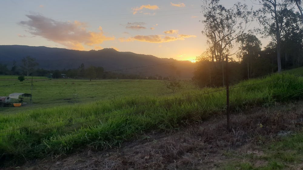 Herbert River Valley