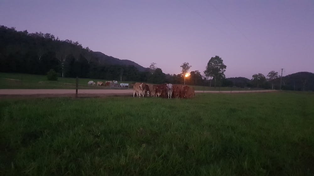 Herbert River Valley