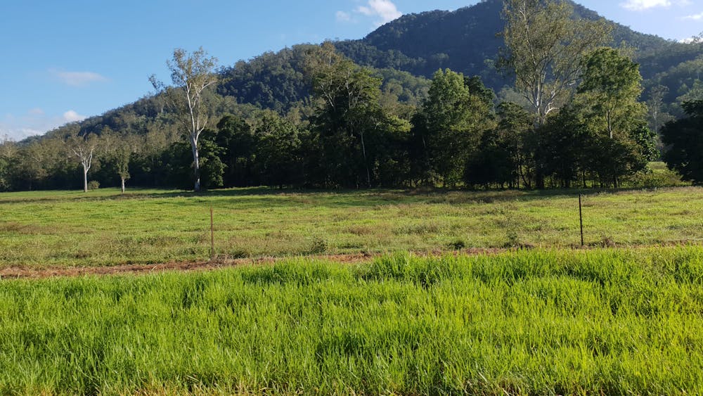 Herbert River Valley