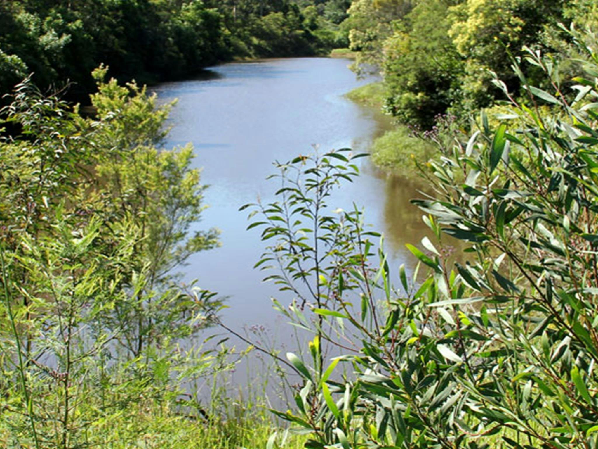 A creek along the Heritage walking track, Blue Gum Hills Regional Park. Photo: John Yurasek &copy;