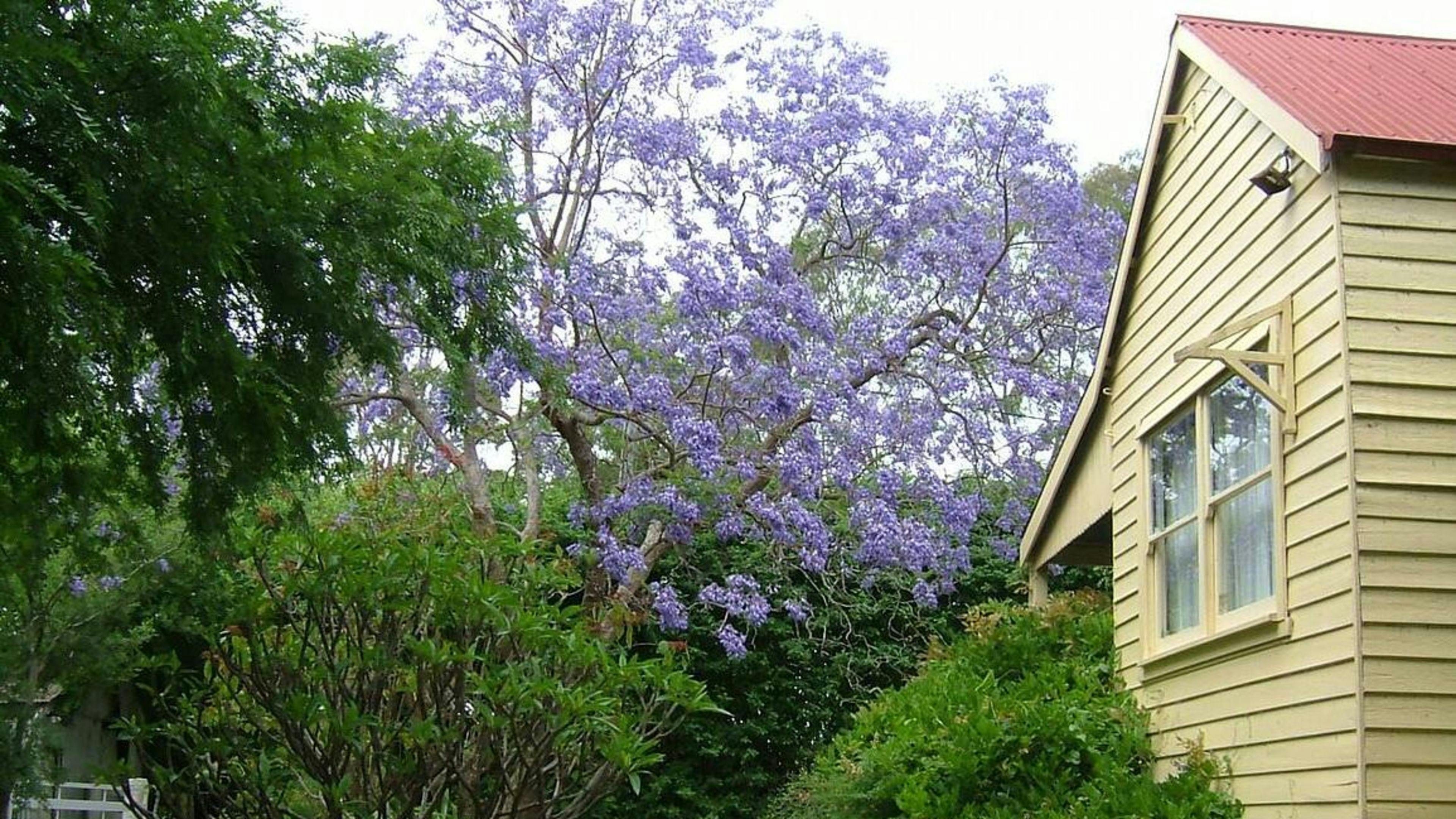 허미티지 코티지 팜 쿠라종