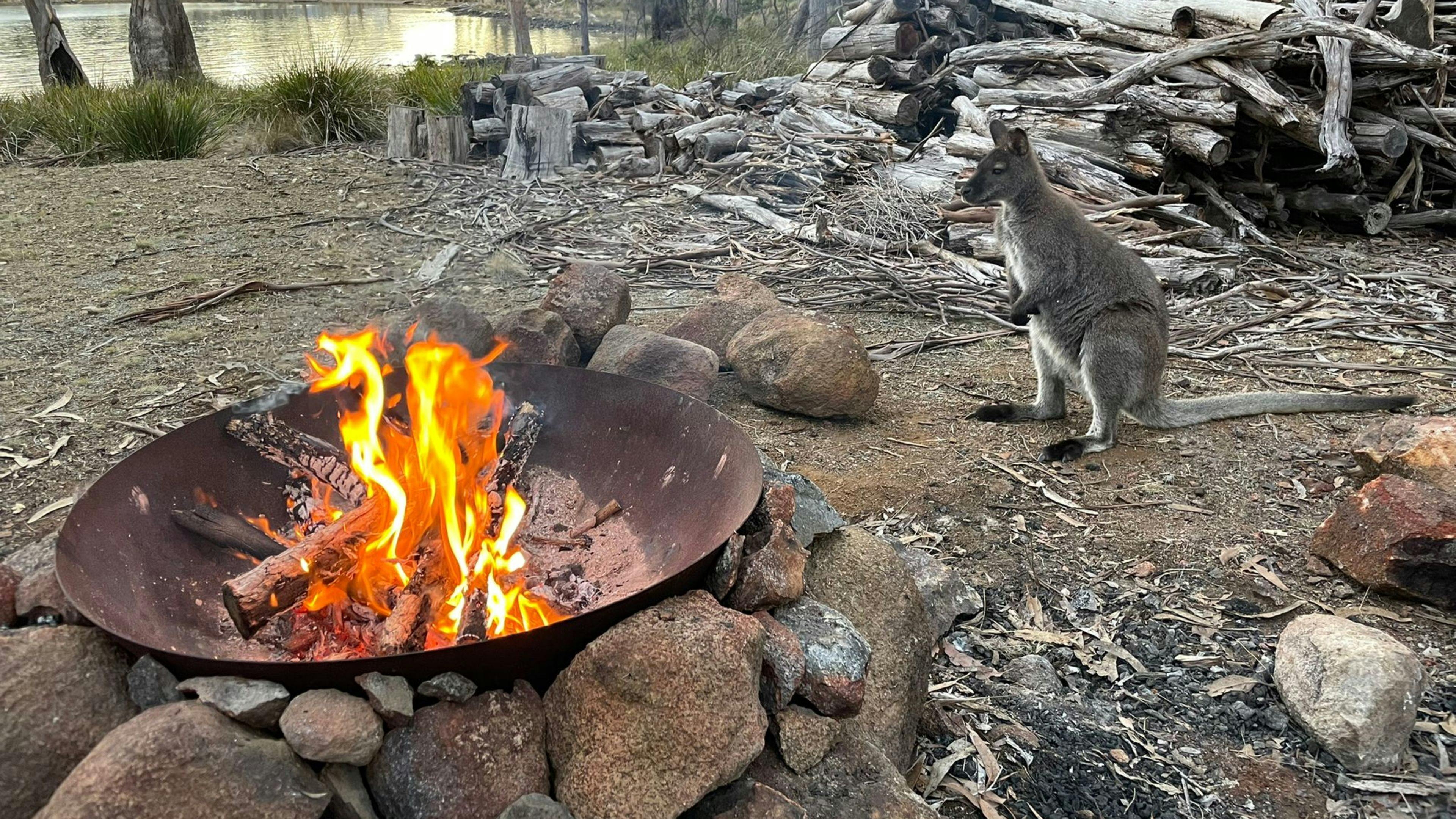 Heron Cove, Bruny Island