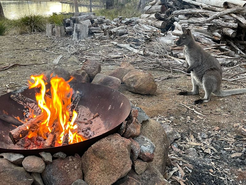 Heron Cove, Bruny Island