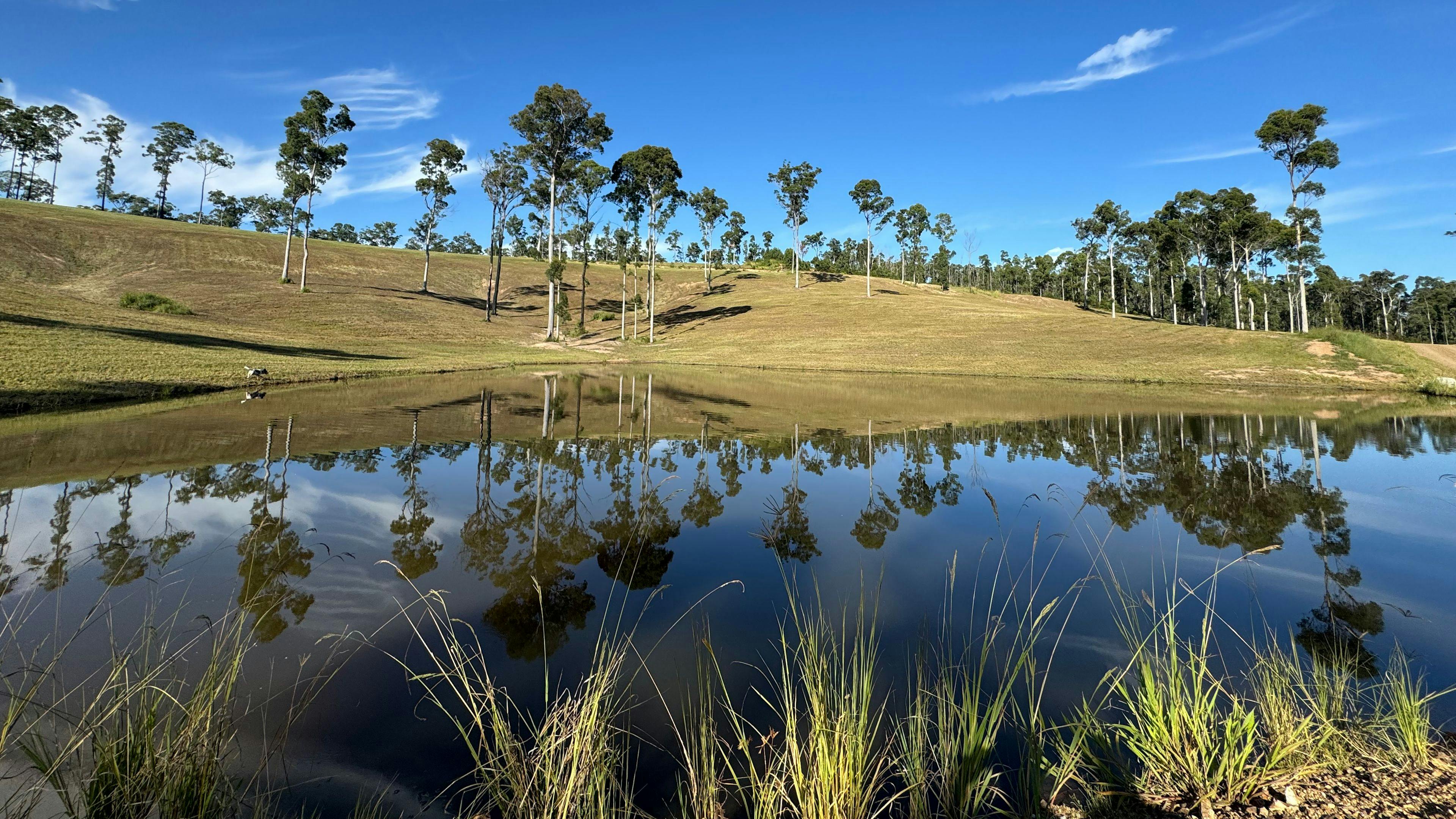 ヘリング・エステート - パノラマビュー