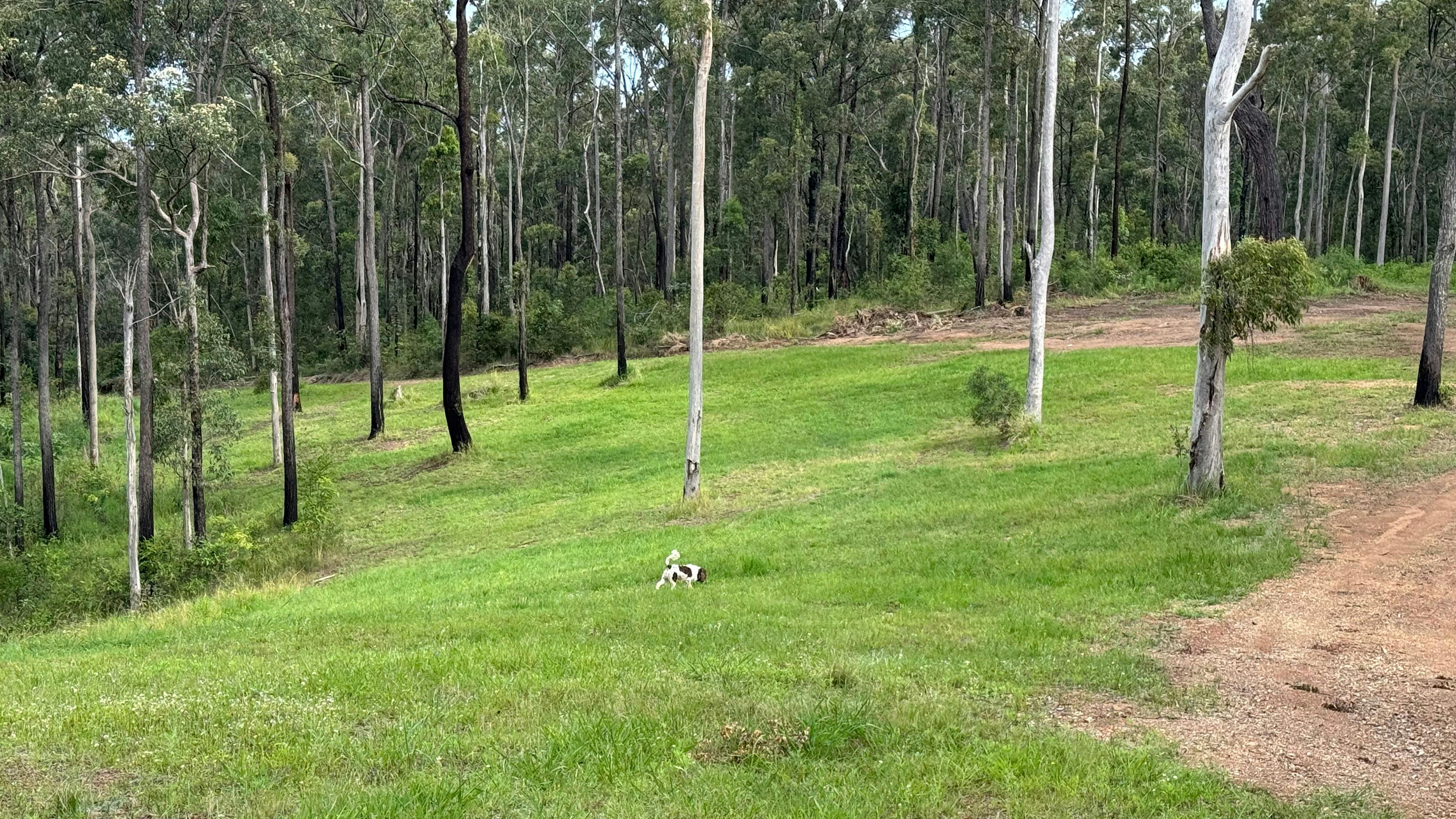 Herring Estate - Panoramic Views