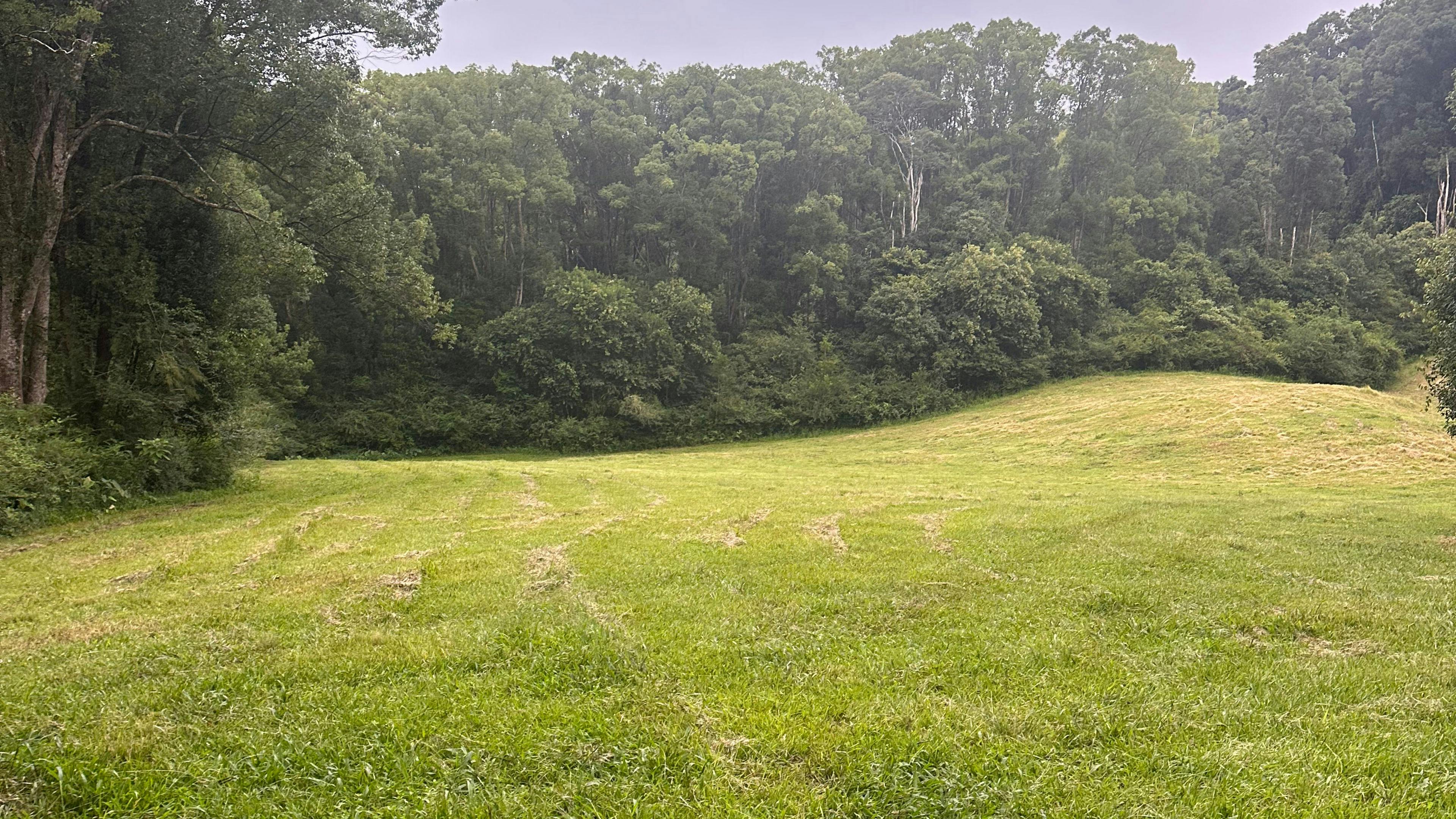 威爾遜河度假村