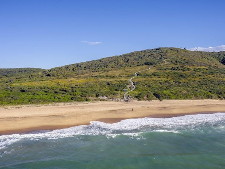 View from beach of walking track leading to Hickson Street lookout. Photo credit: John Spencer