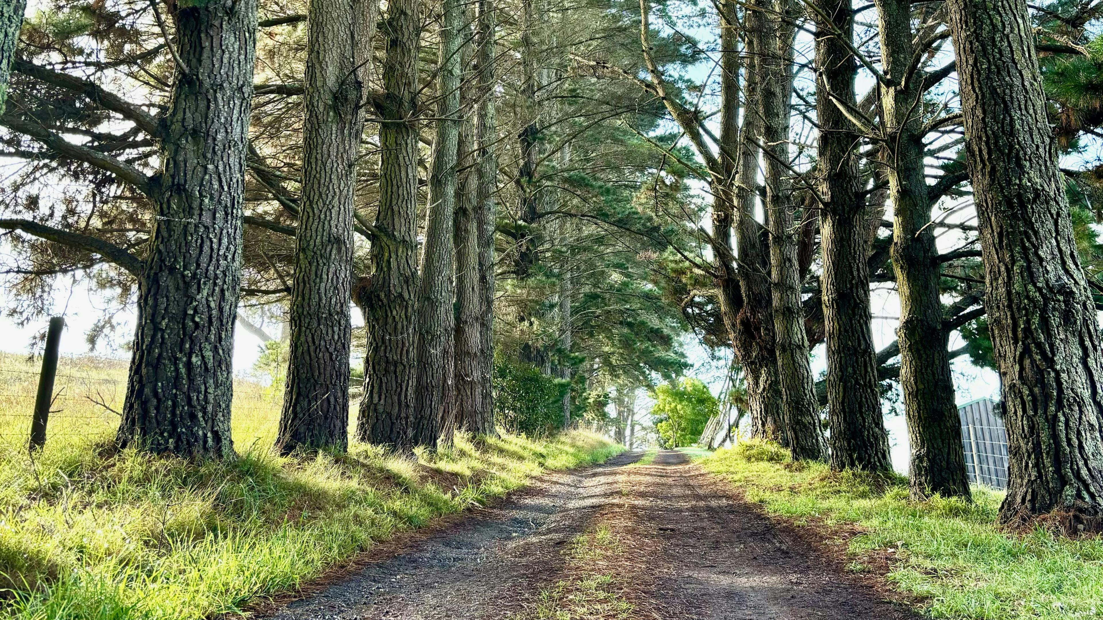 히든 브룩 사우스 하이랜드 NSW