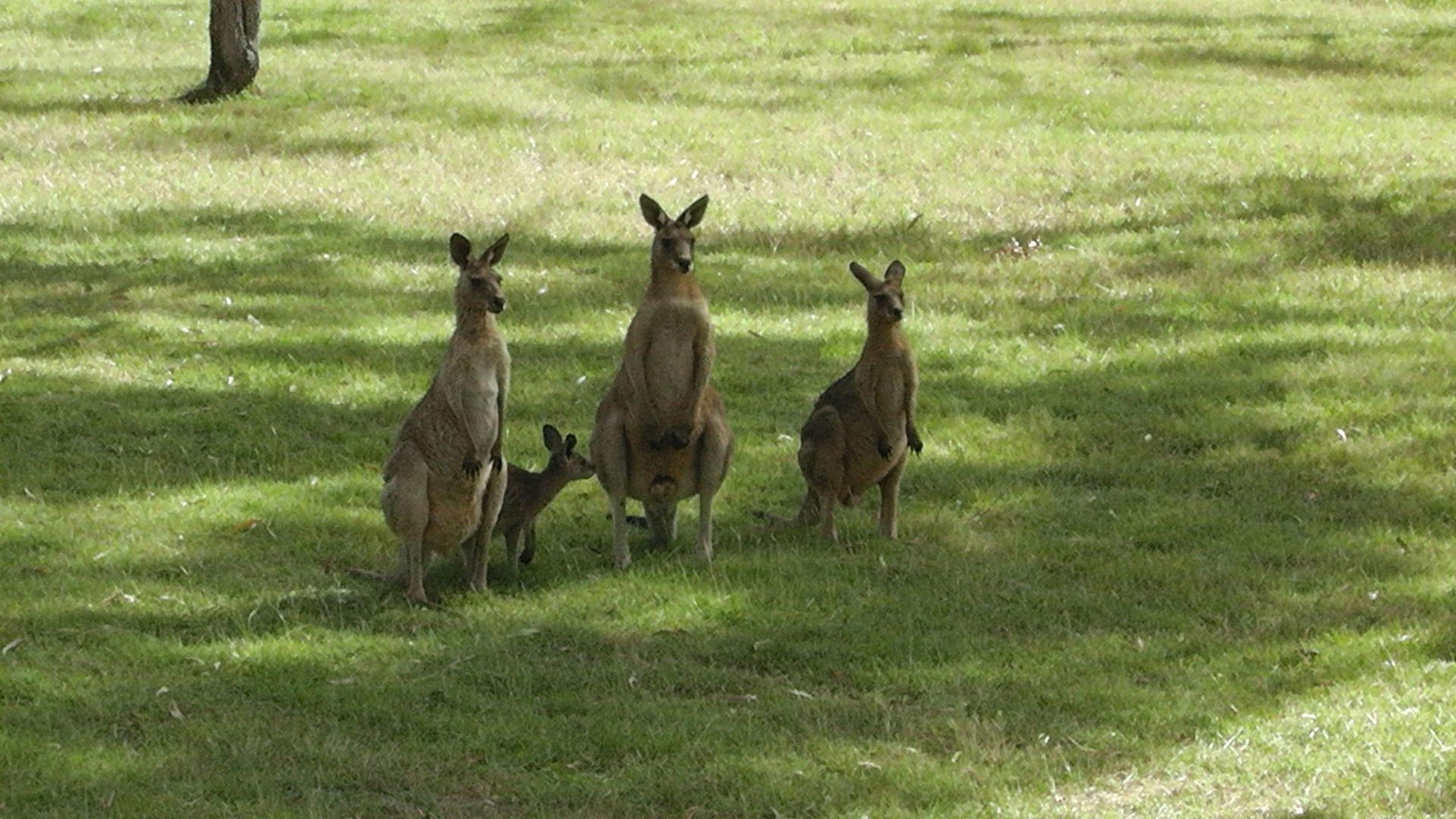 Hideaway Haven Bed & Breakfast.