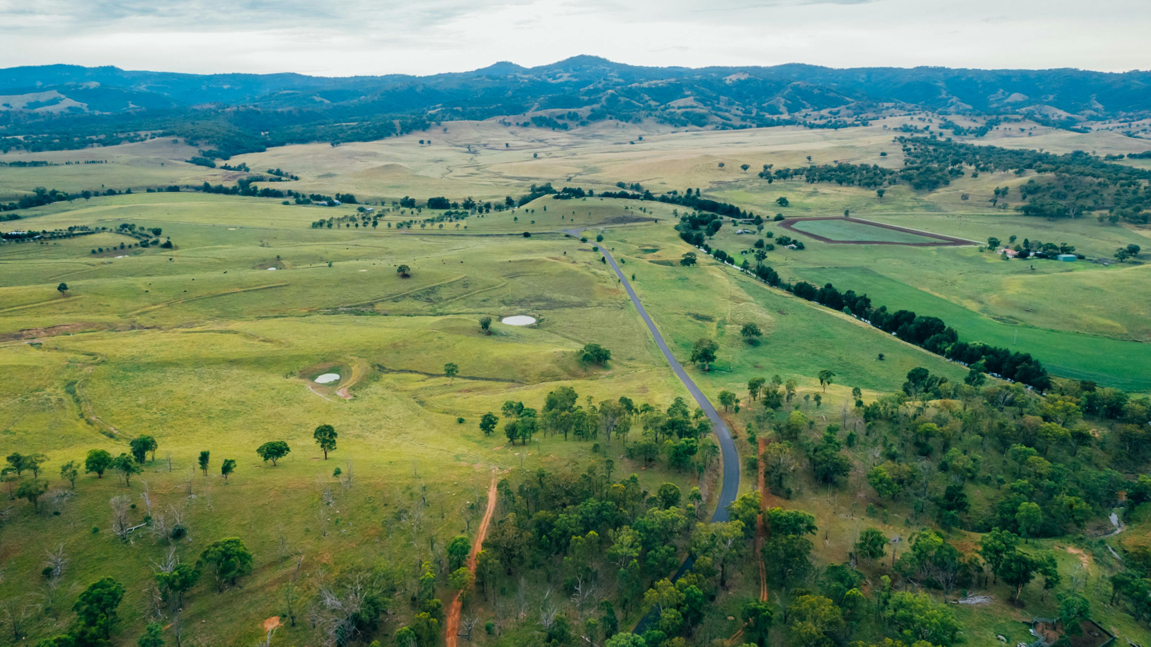 Aerial view of the surrounds