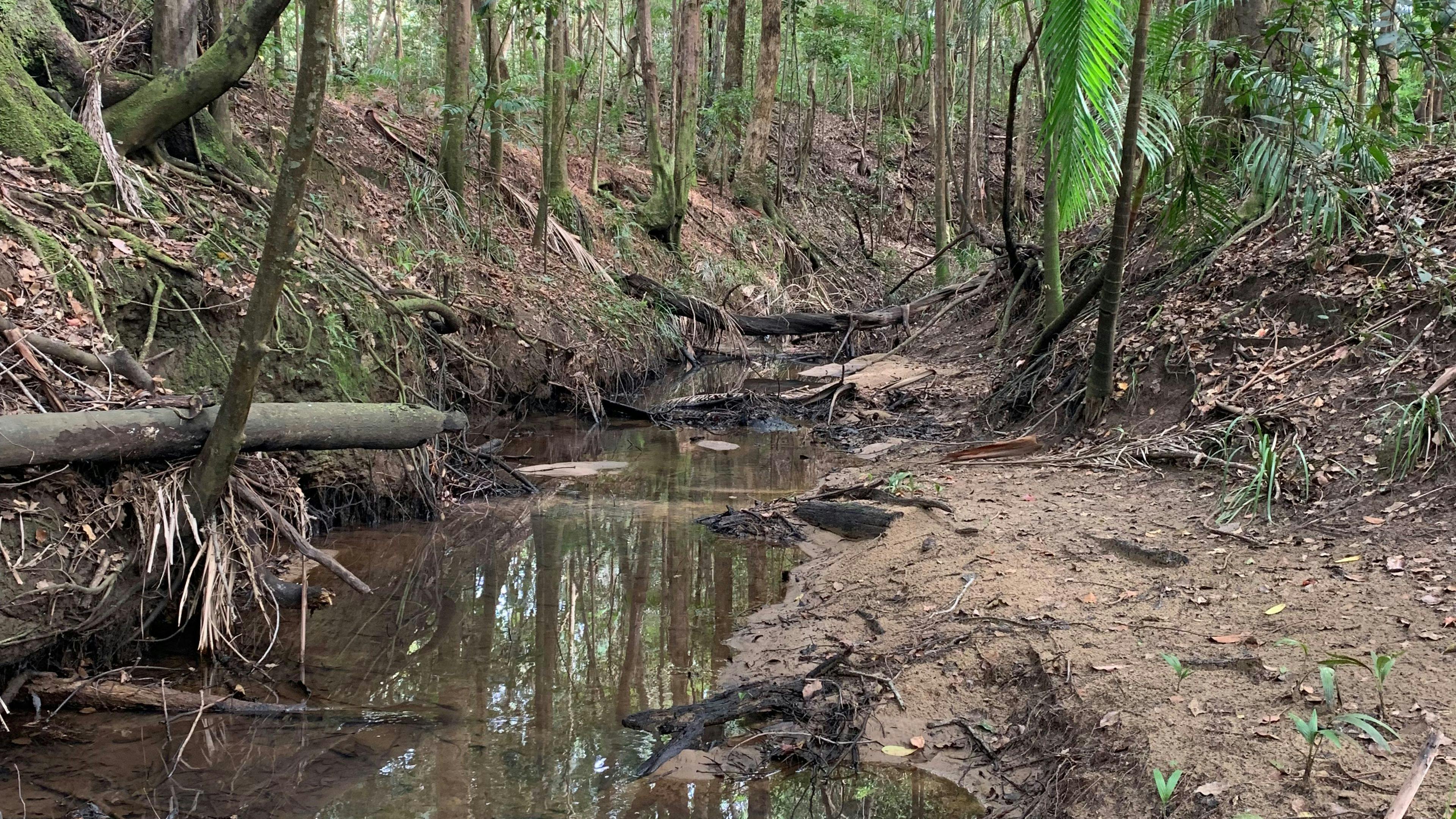 Highland Haven - Eudlo