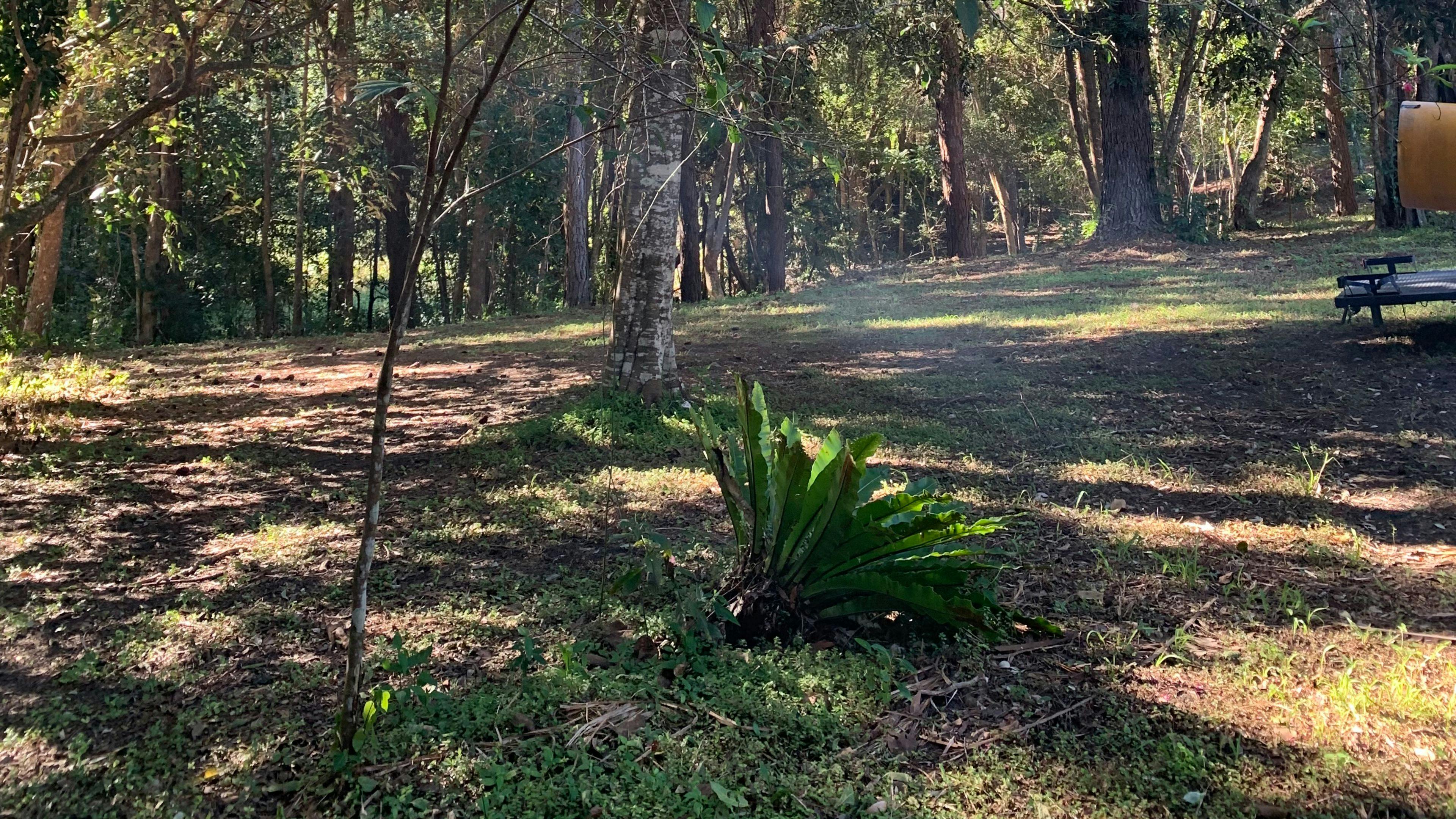 Highland Haven - Eudlo