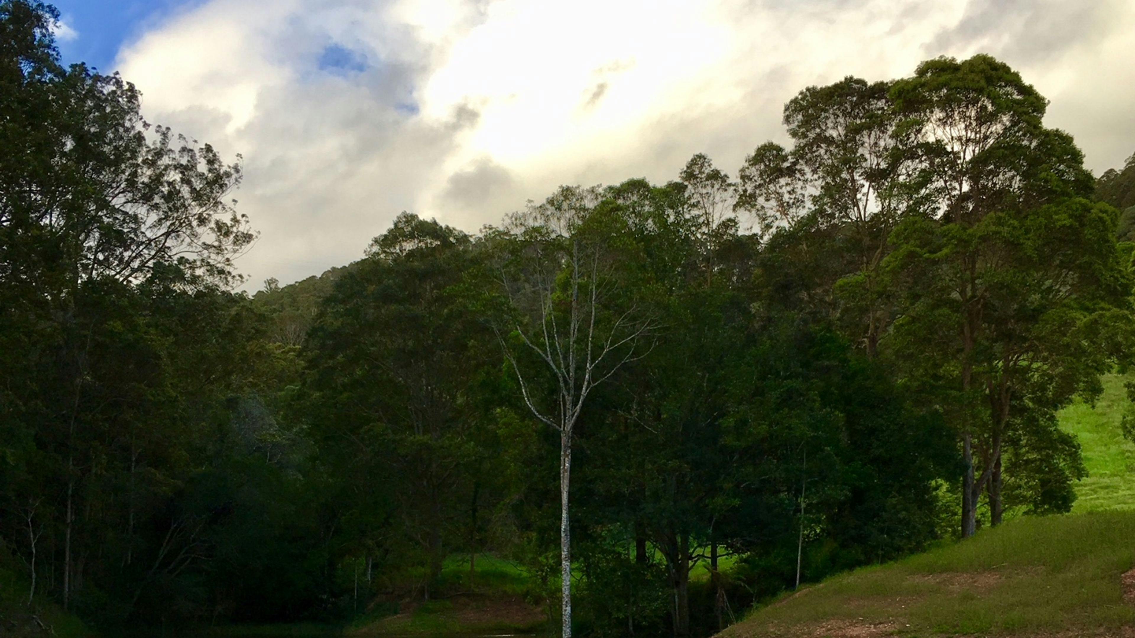 Hillier Retreat, Noosa Hinterland, Sunshine Coast