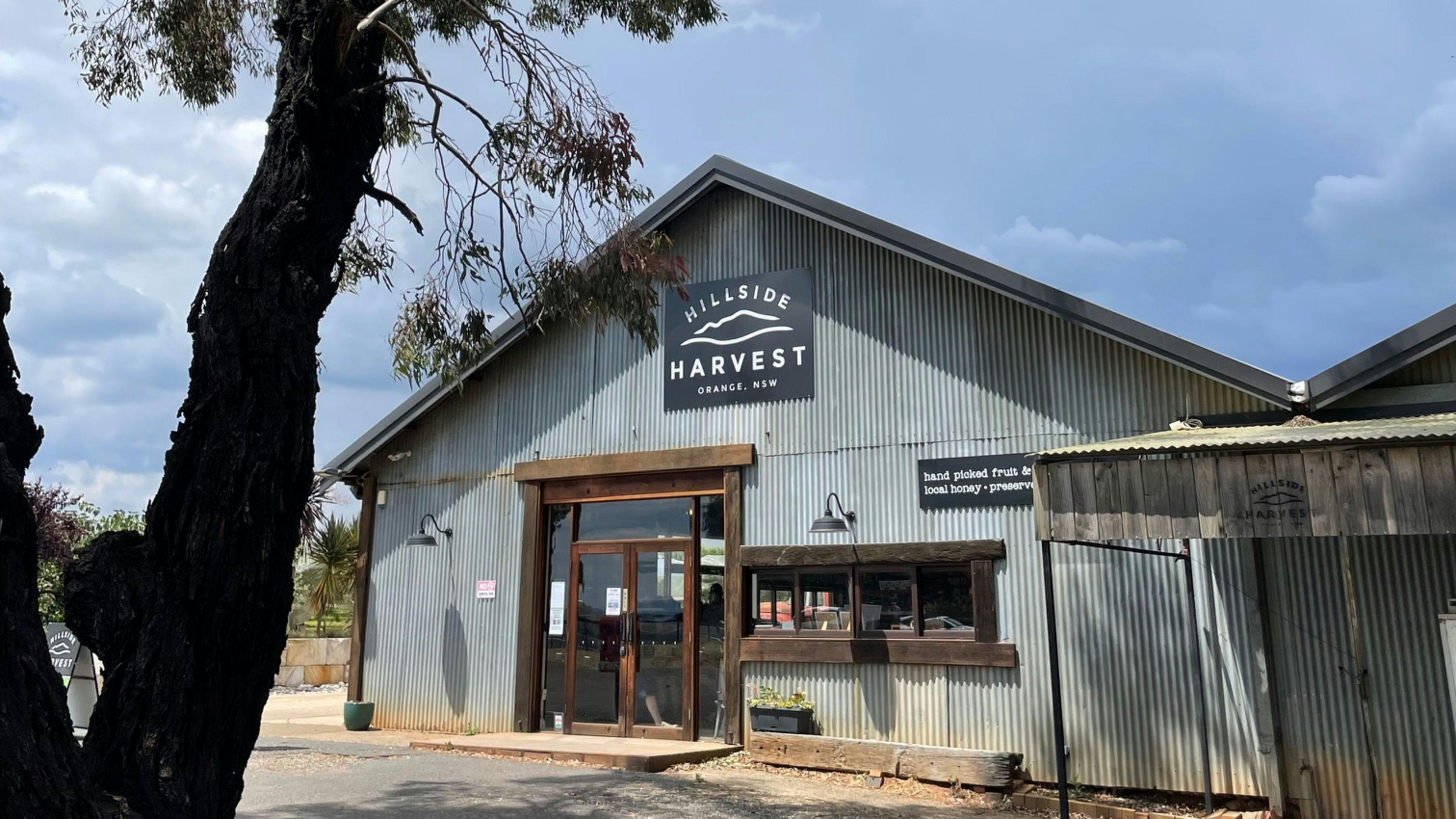 Hillside Harvest Orchard