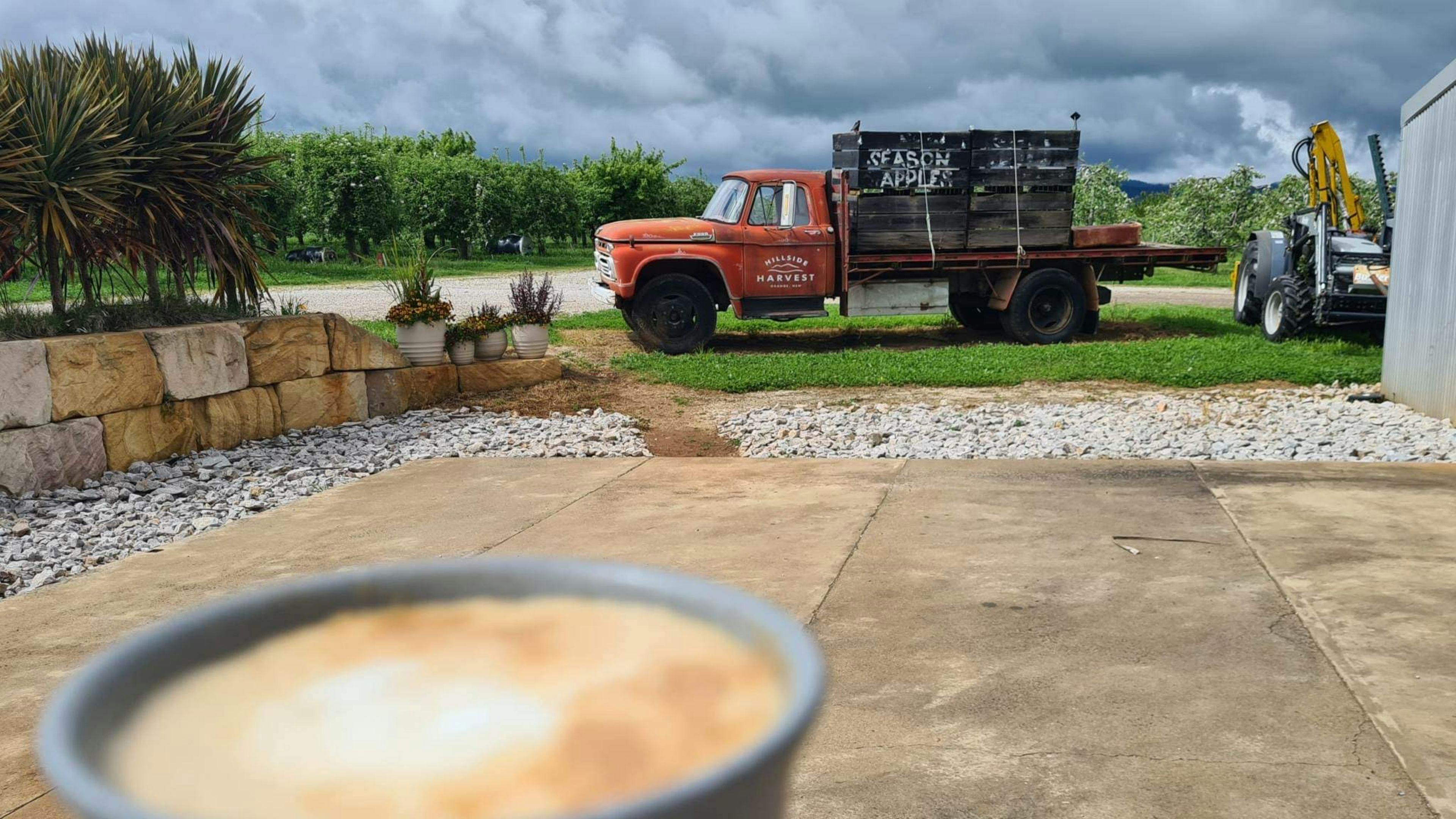 Hillside Harvest Orchard