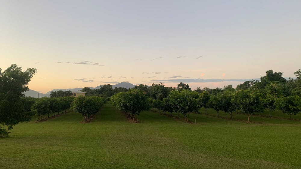 Hinchinbrook View