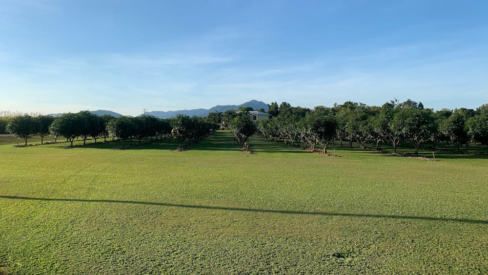Hinchinbrook View