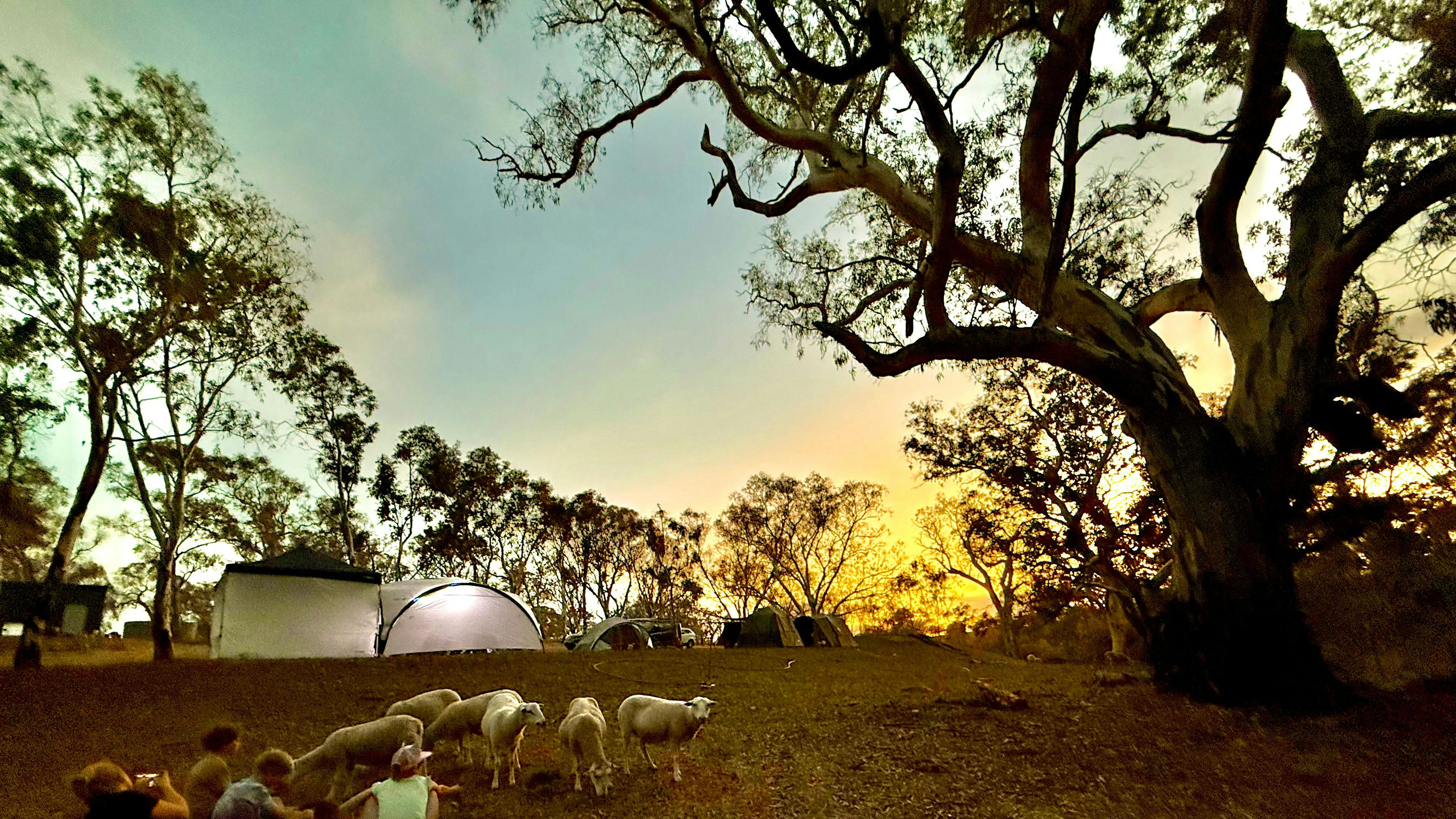 Sunset Rocks Farmstay