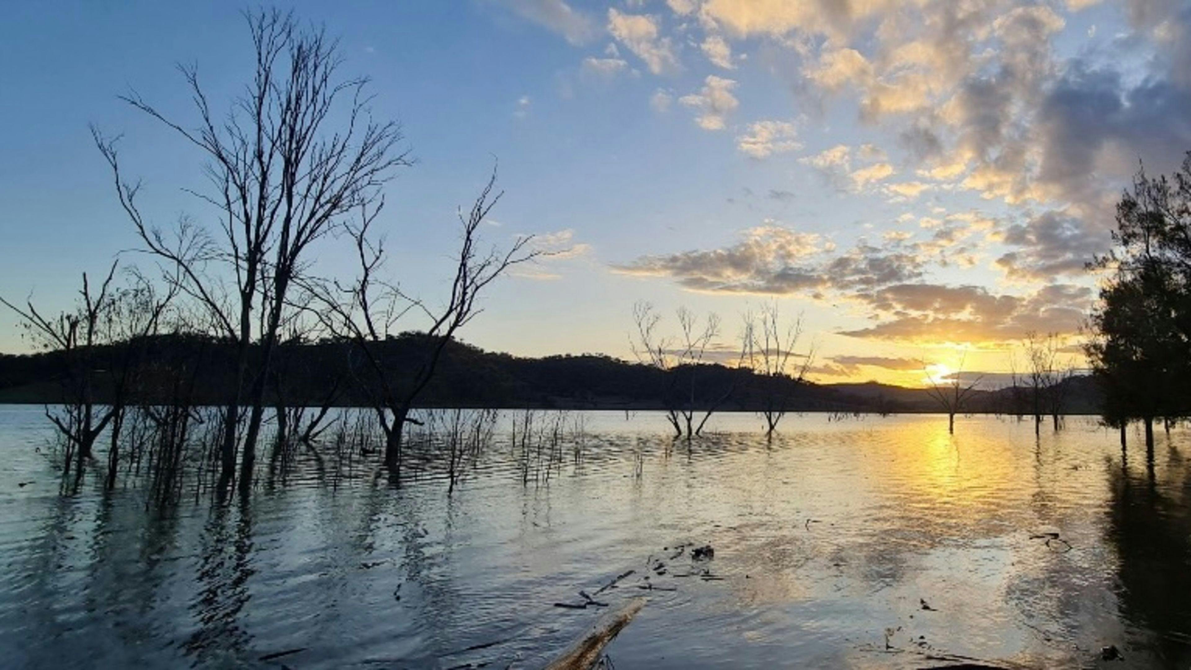 Bowling Alley Point Recreation Reserve Campground