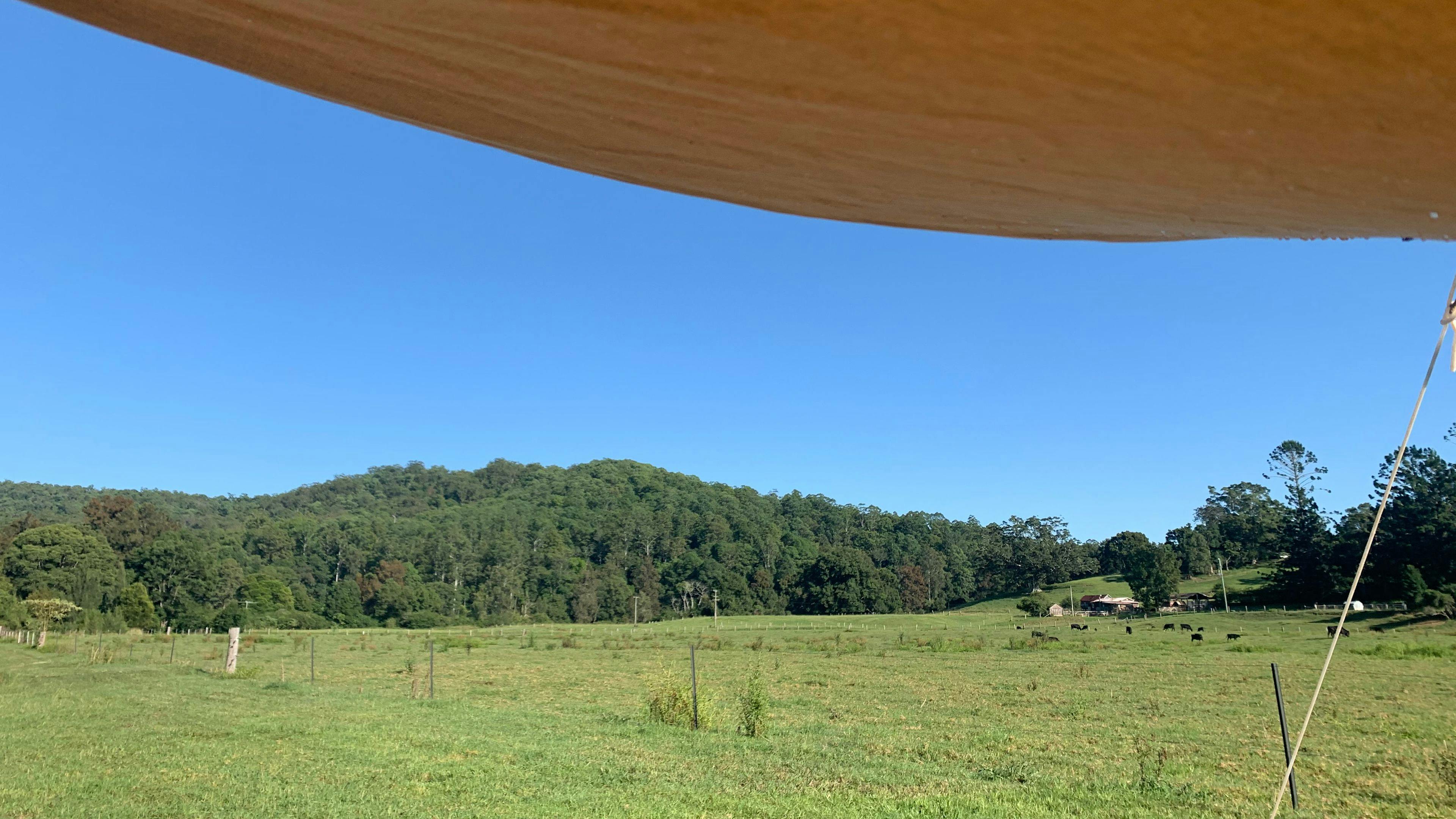 Bunya farm