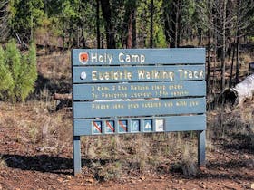 Holy Camp
